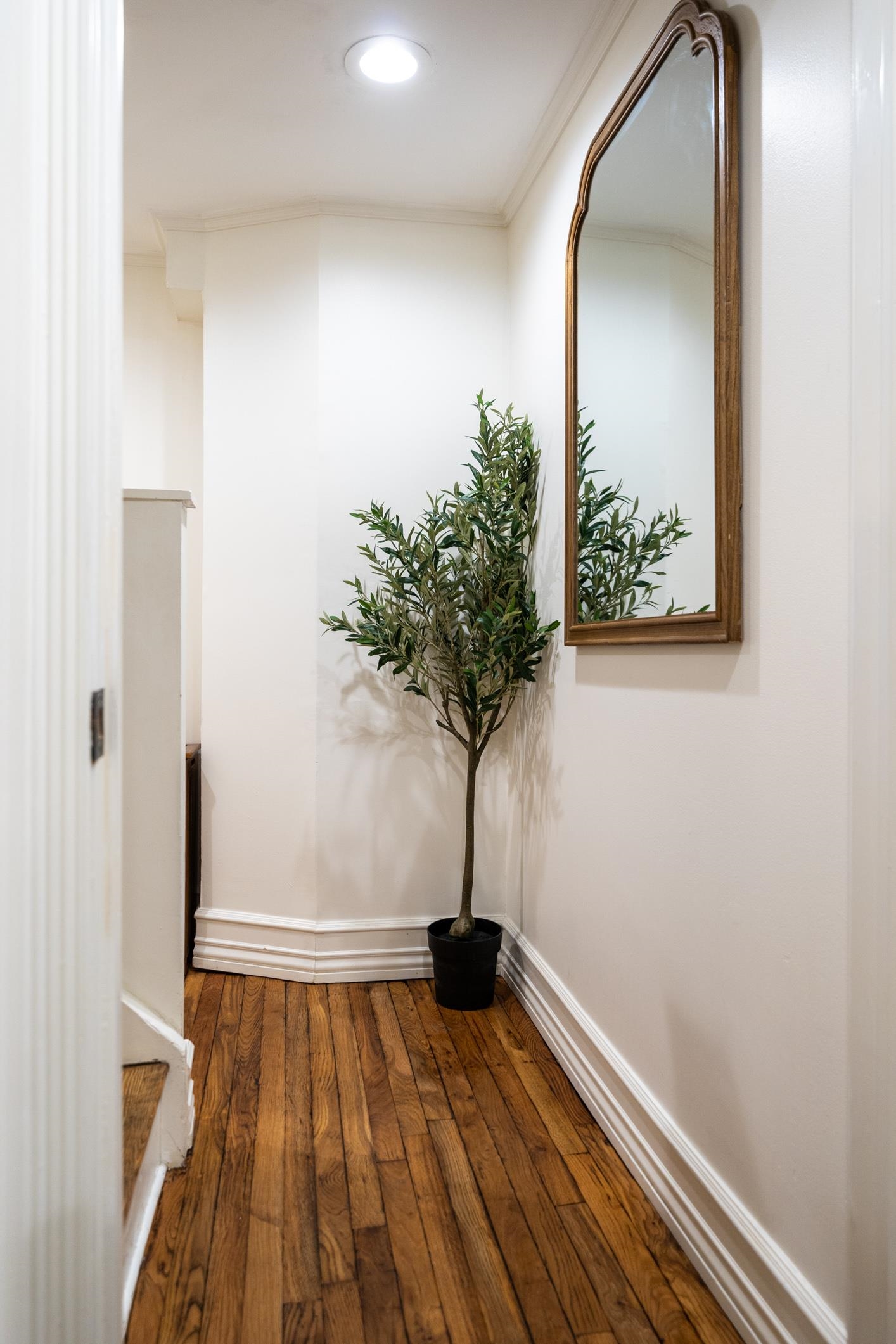 picture-gallery