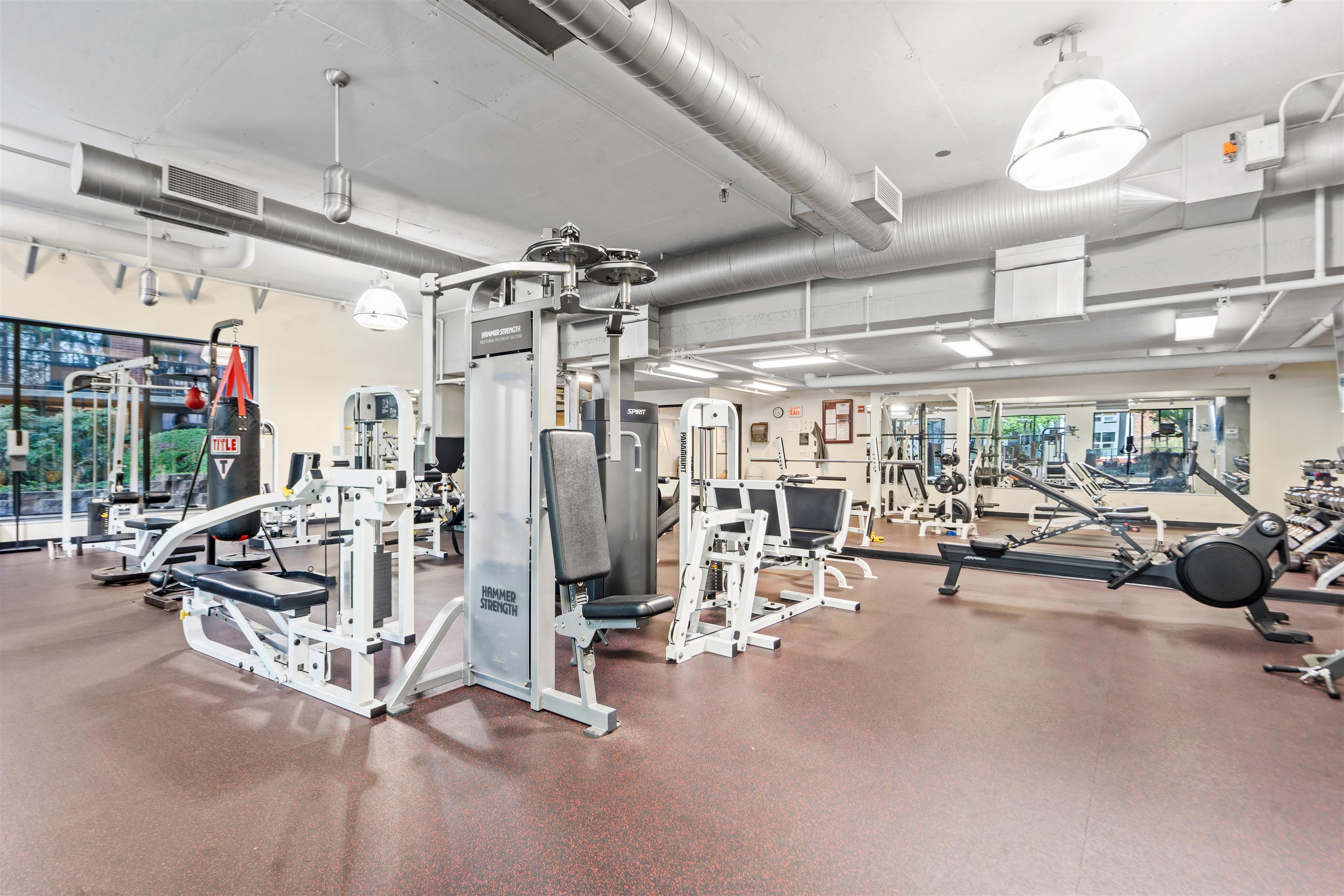 picture-gallery