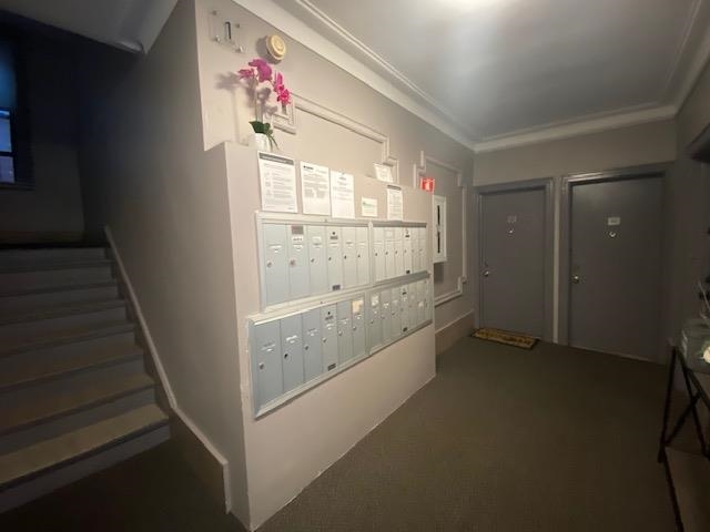 image 28