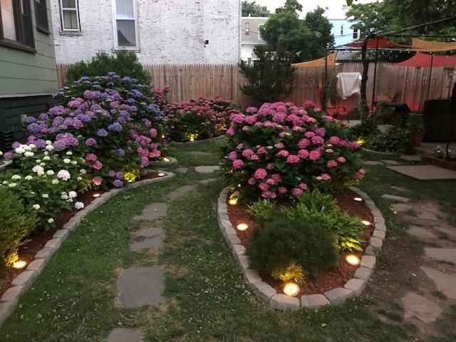 image11