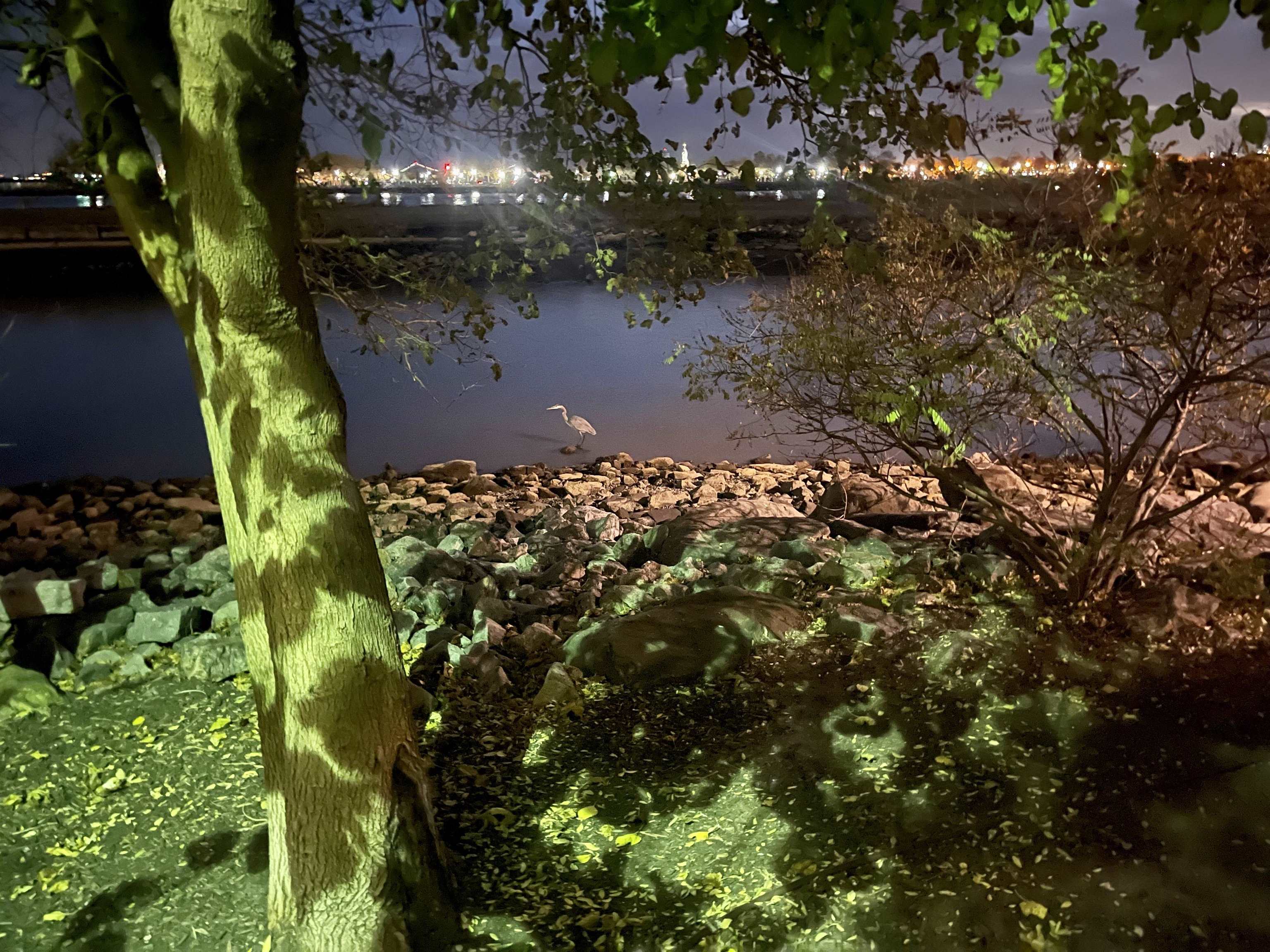 image38