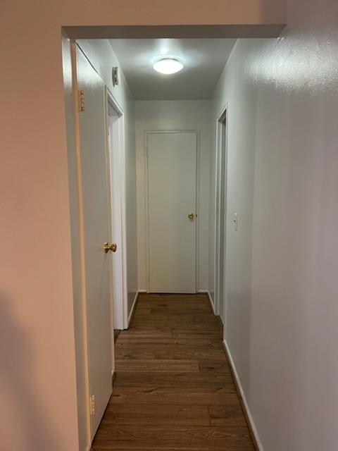 image11
