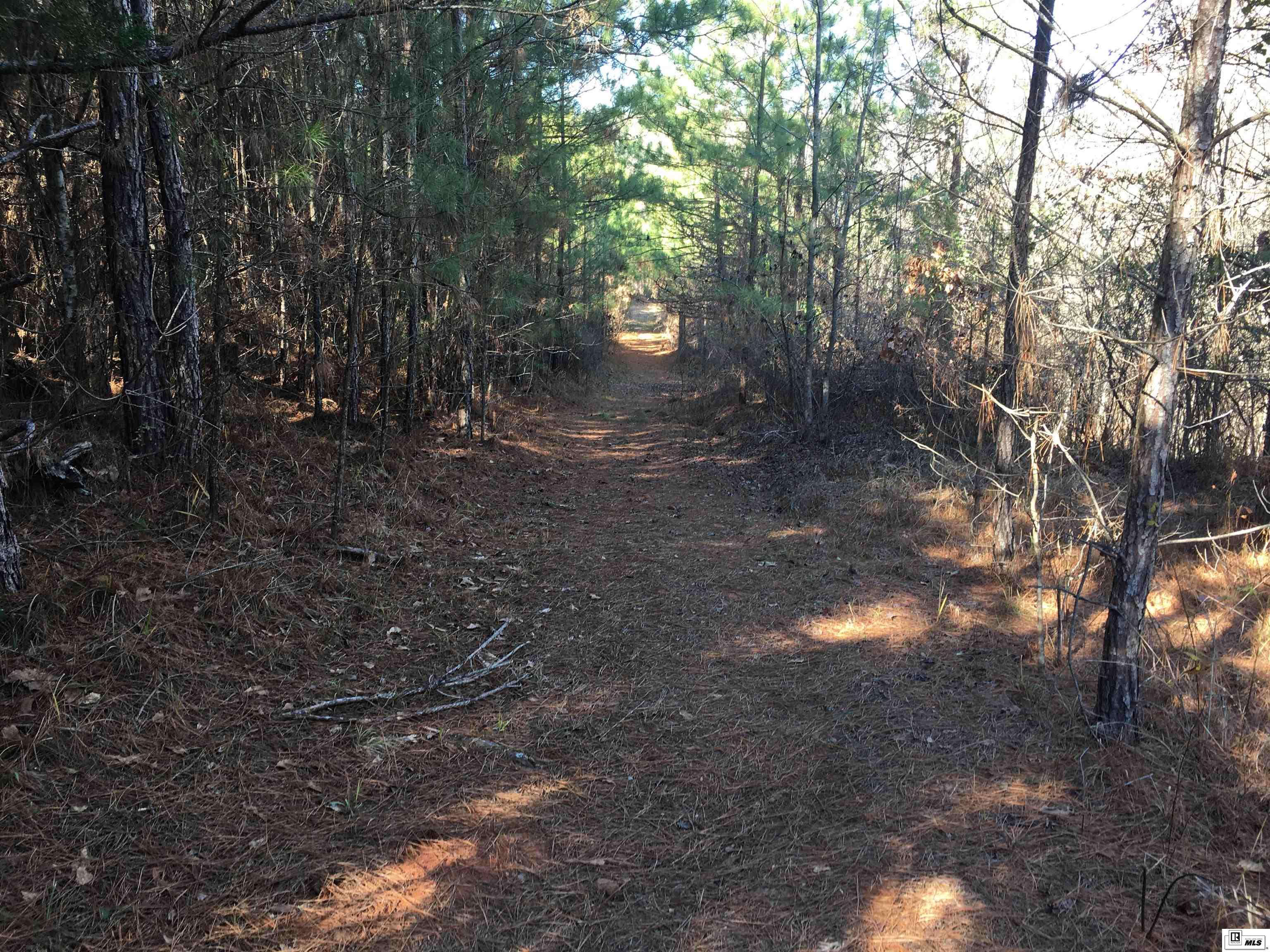 0 Highway 2 Mt Tabor North,  Tract D-  11 Ac+/-