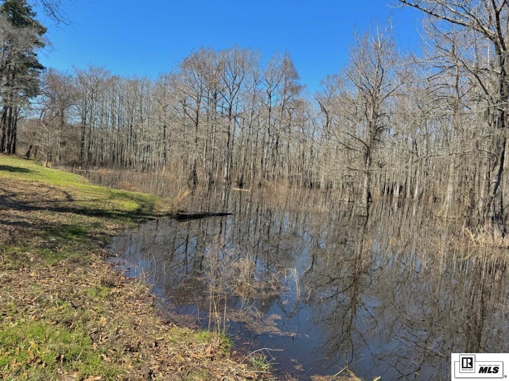 536 Vfw Road