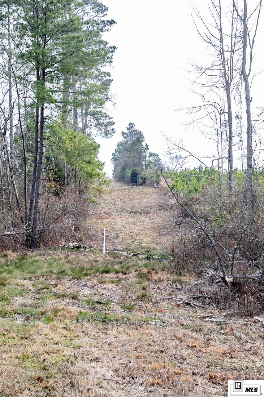 2823B Highway 151