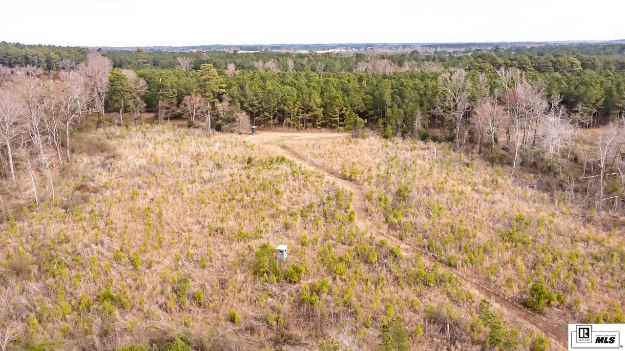 2823B Highway 151