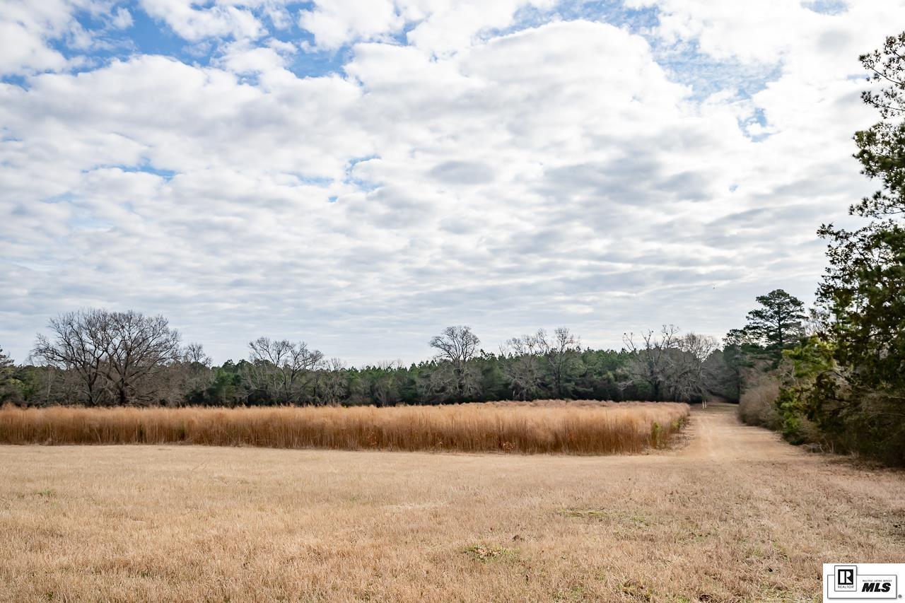 2823B Highway 151