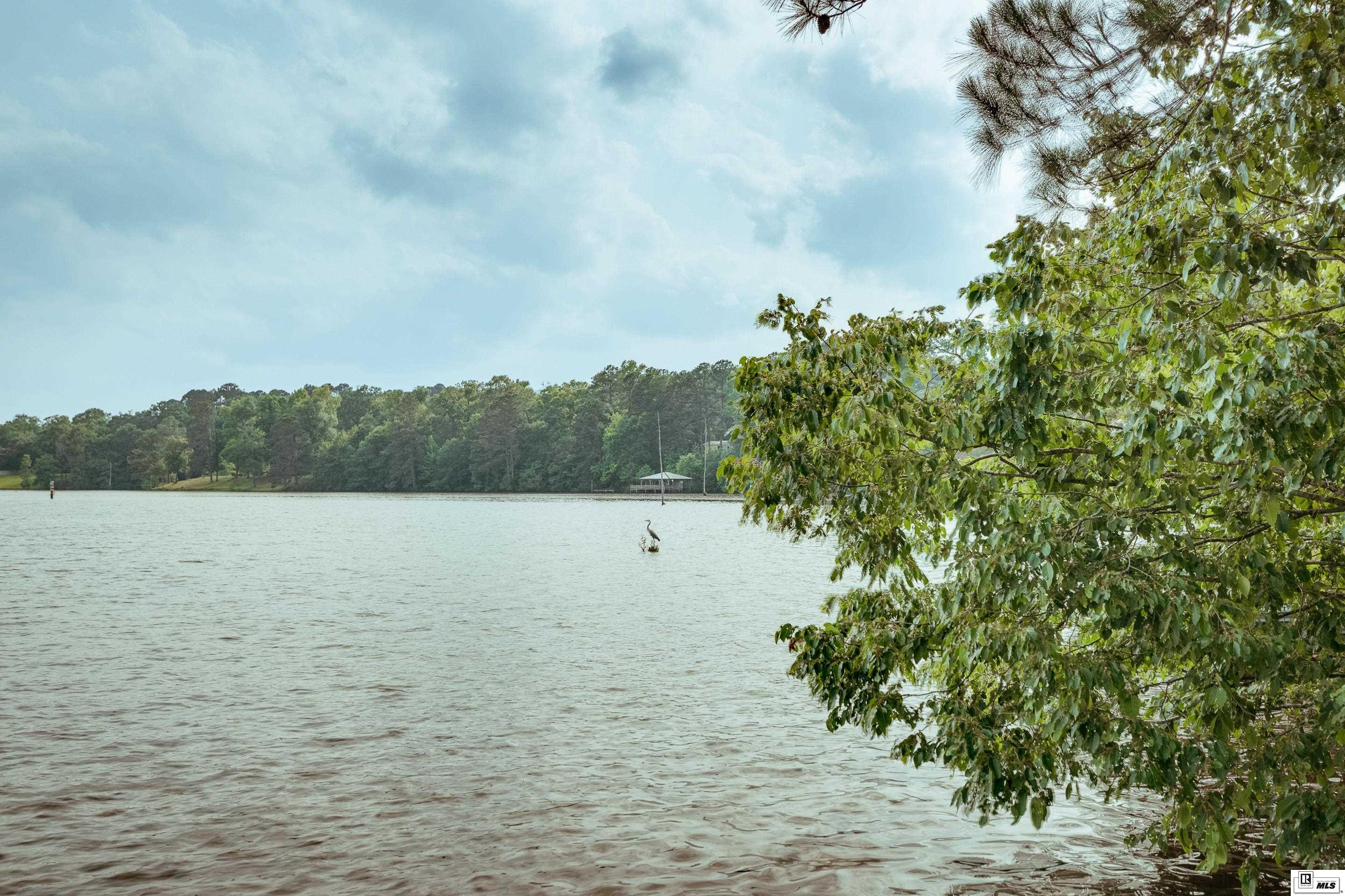 1184 Websters Bluff Road