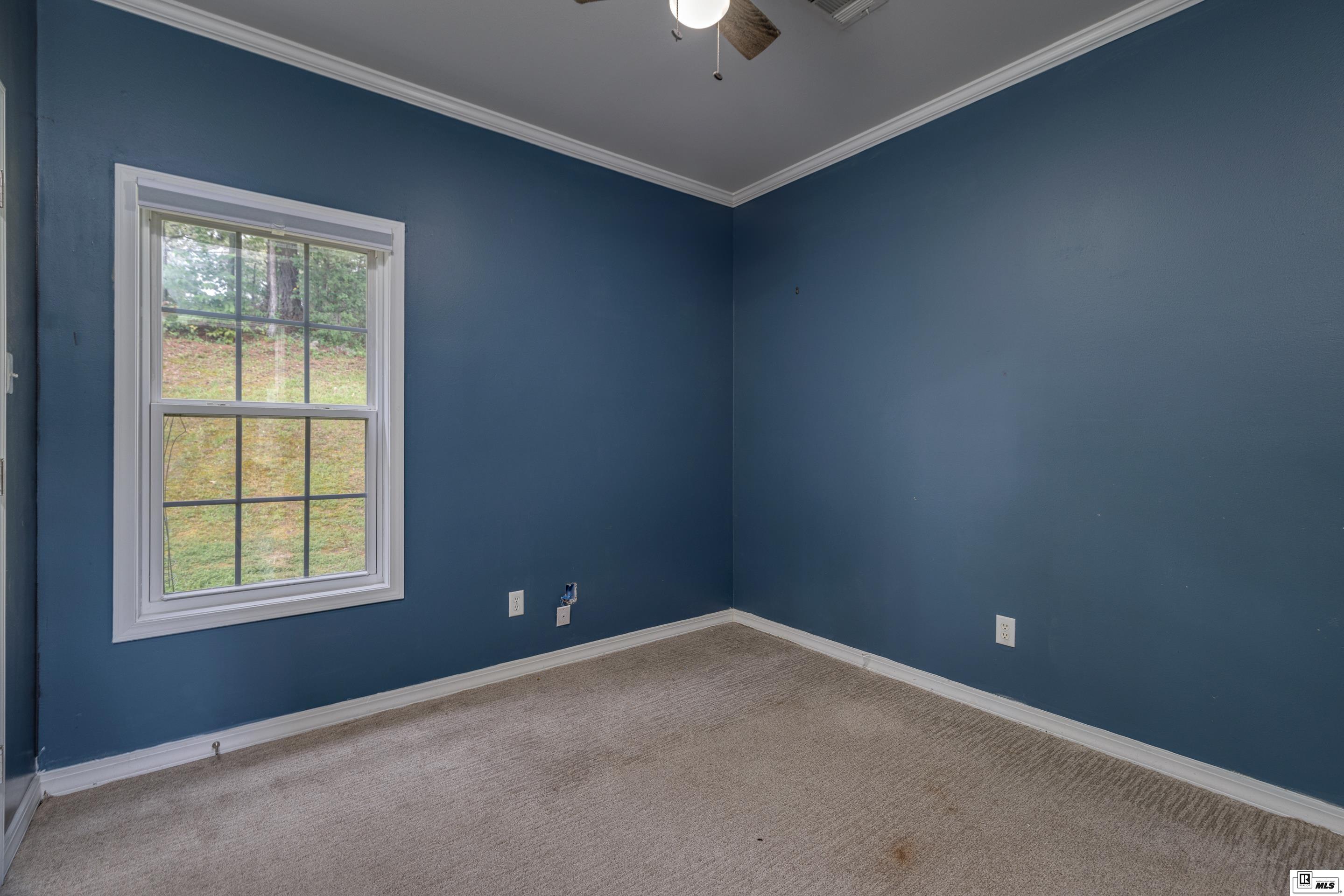 113 Arbor Cove Circle