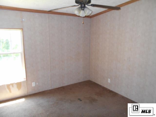236 Haile Malone Road