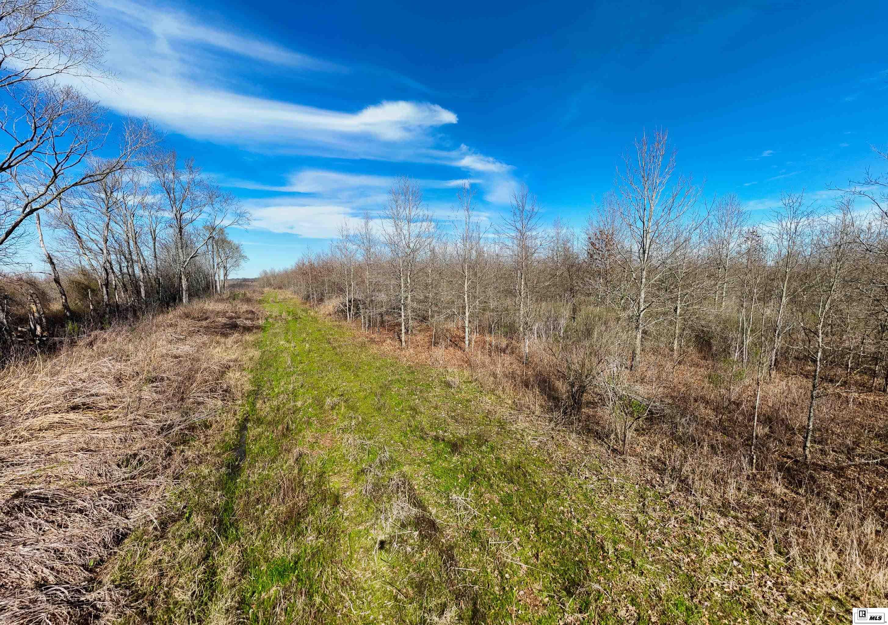Photo of BONNIE SUE ROAD, Oak Grove, LA 71263