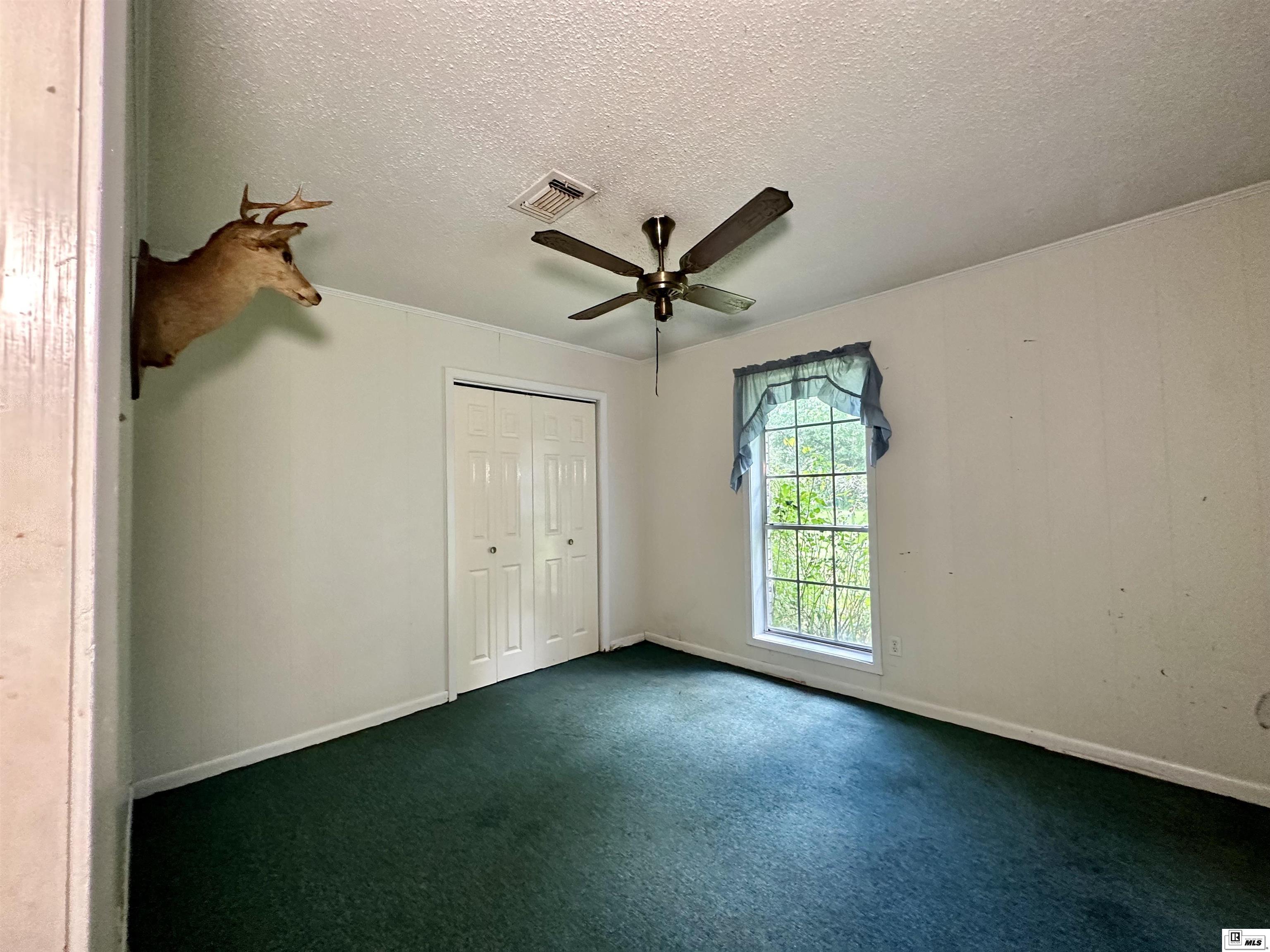 147 Angus Road Ext