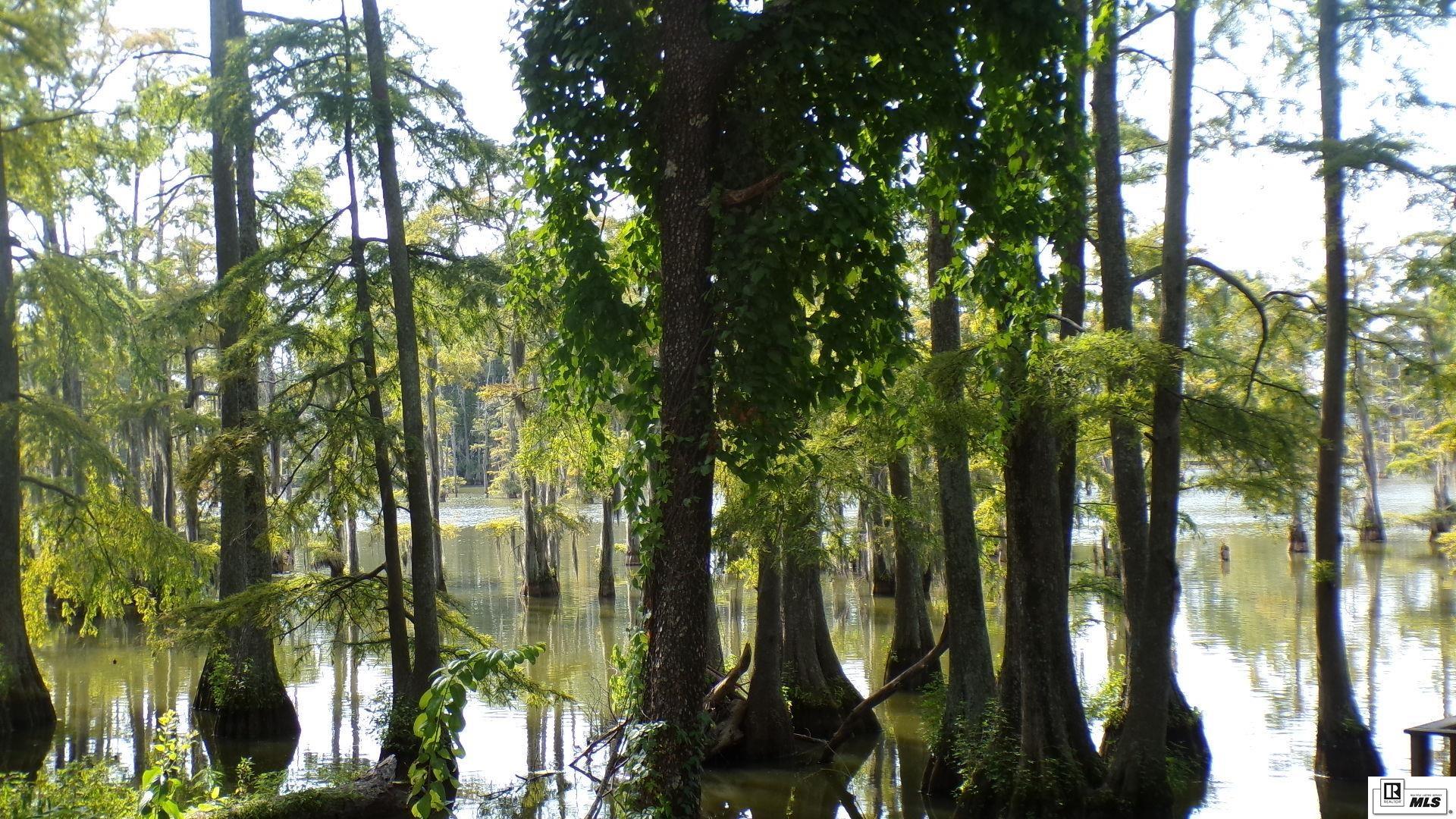 12544 Horseshoe Lake Road