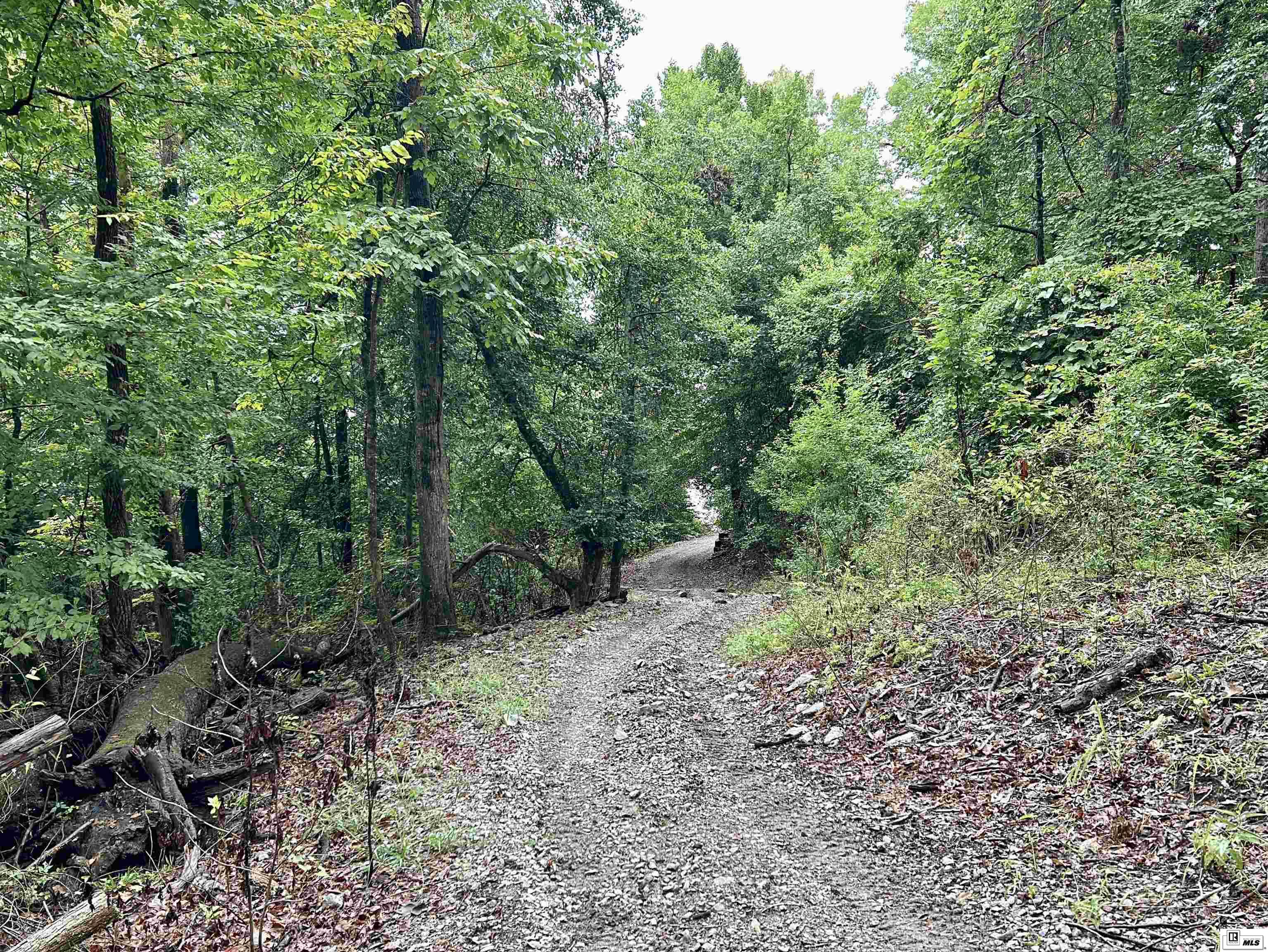 622 Sandfield Road