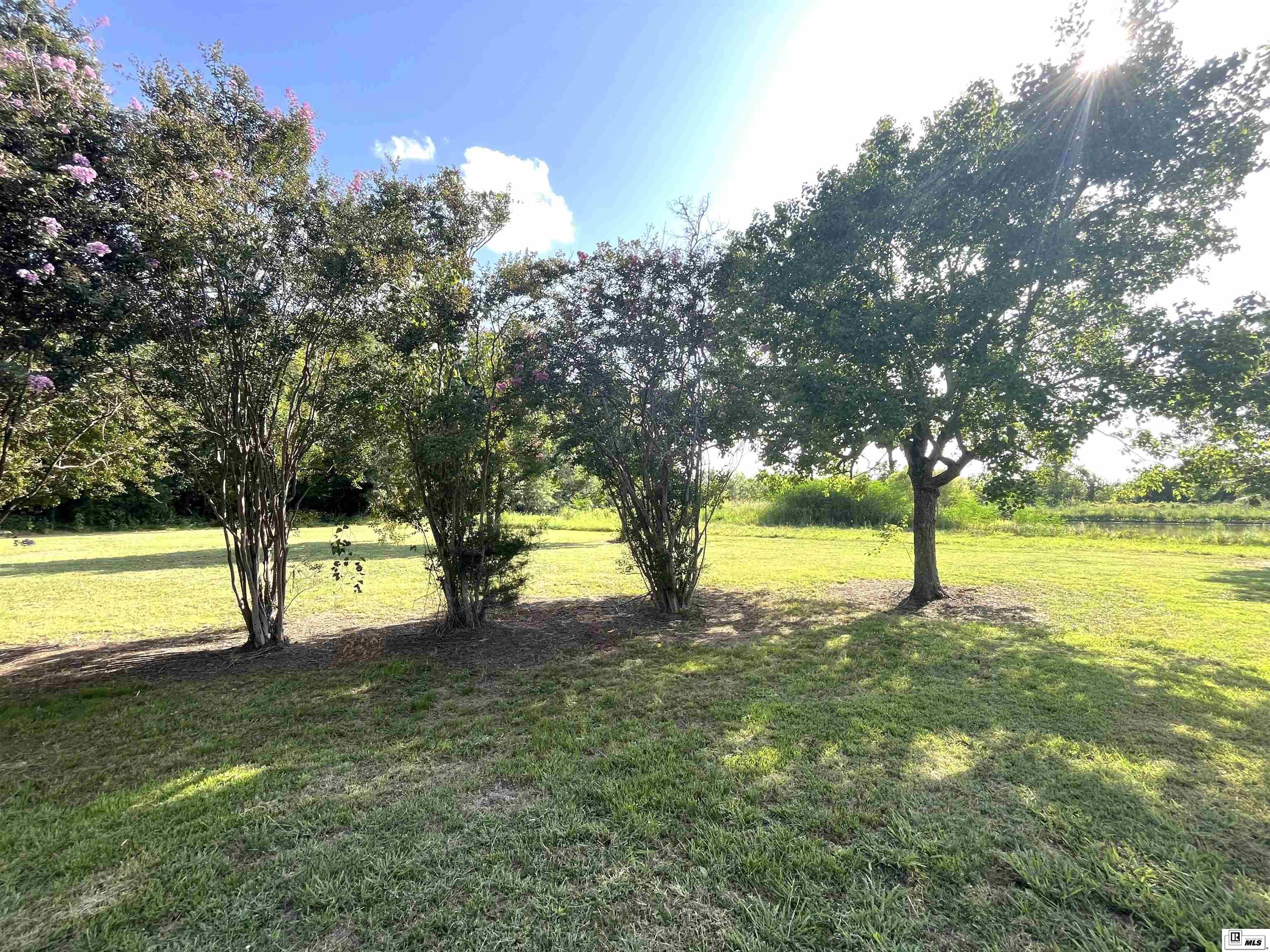 1211 Highway 4