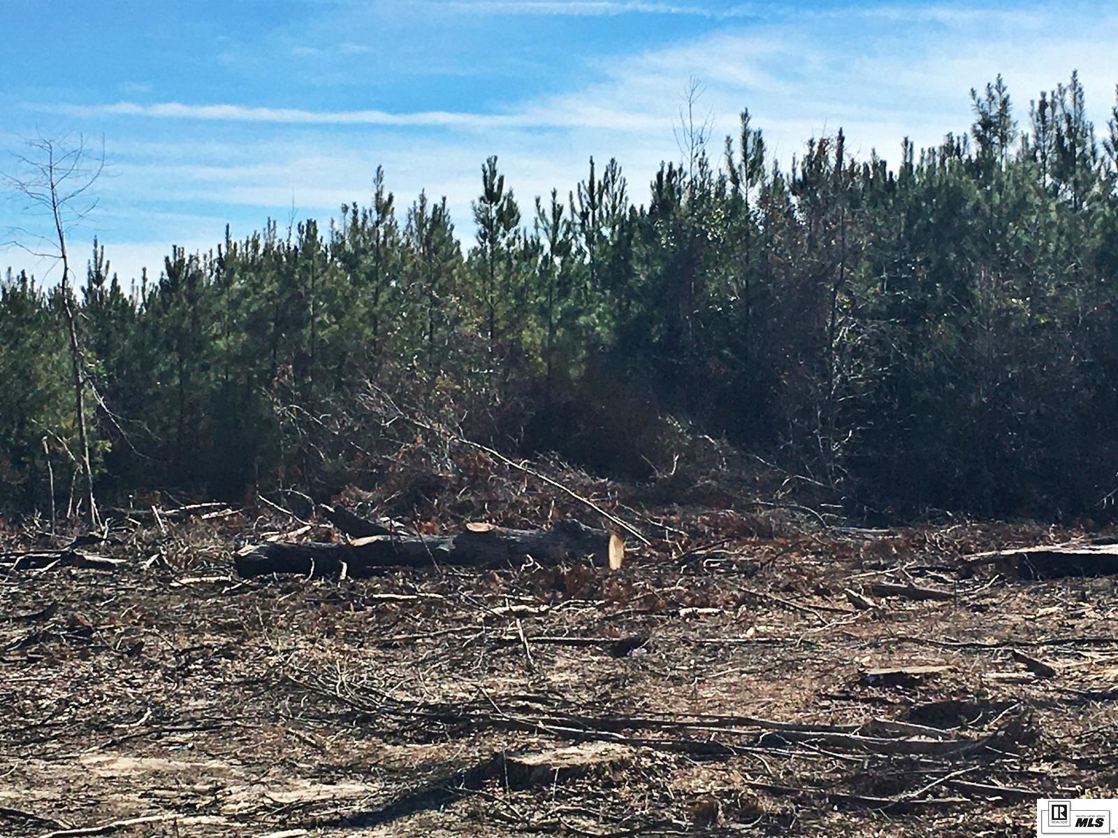 0 Tucker Store Road 15 Ac+/- Tucker Store_mike Taylor Rd