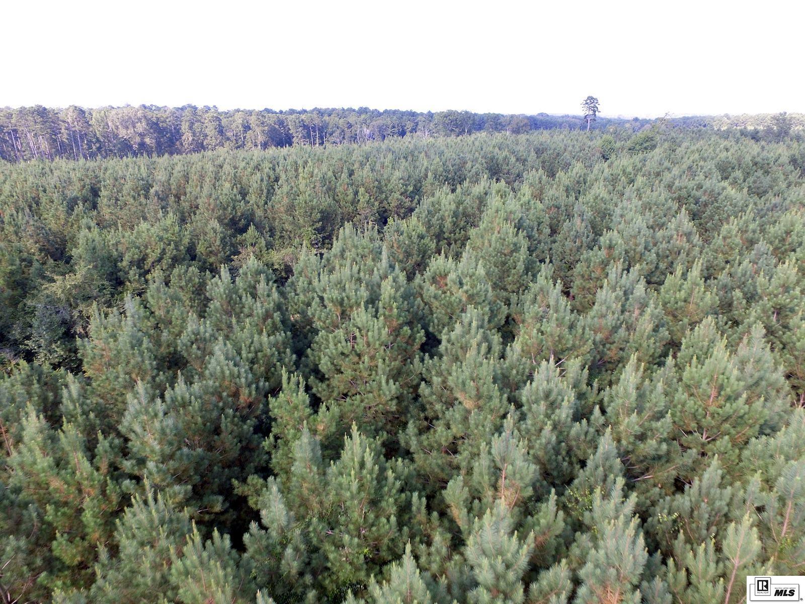 0 Tucker Store Road 15 Ac+/- Tucker Store_mike Taylor Rd