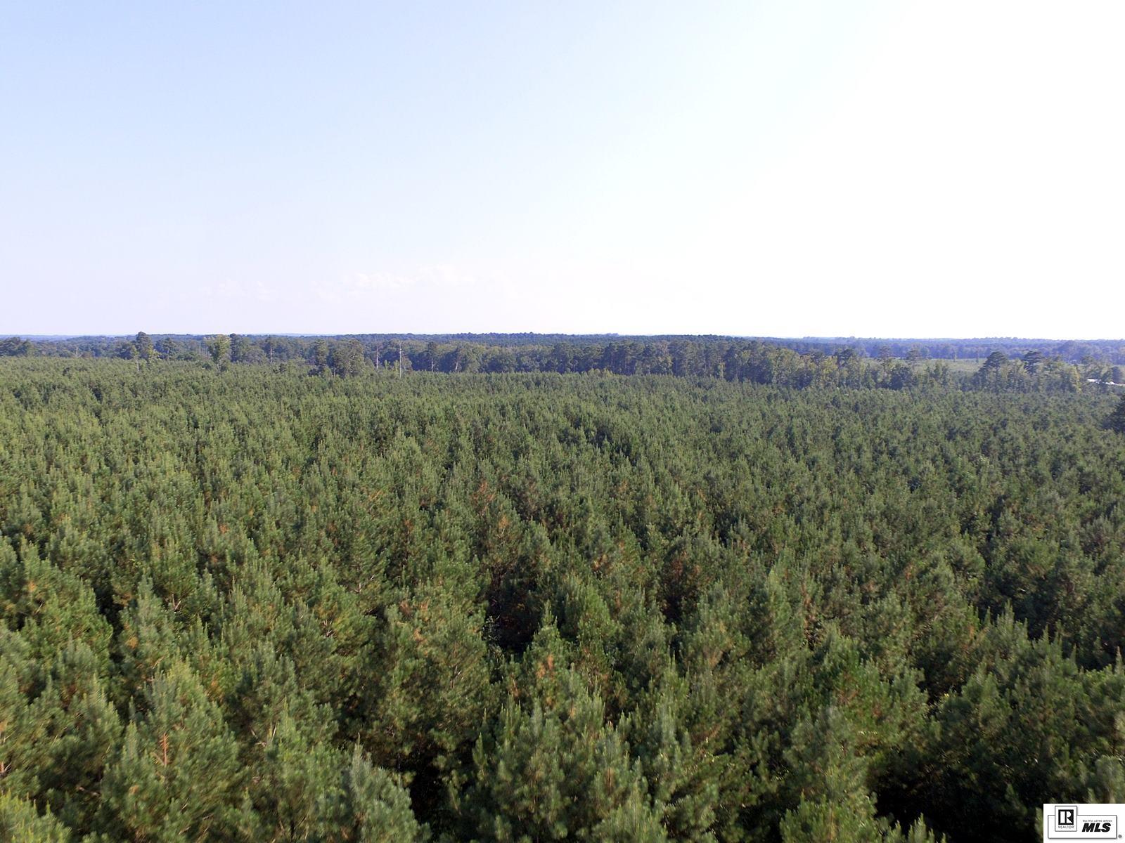 0 Tucker Store Road 15 Ac+/- Tucker Store_mike Taylor Rd