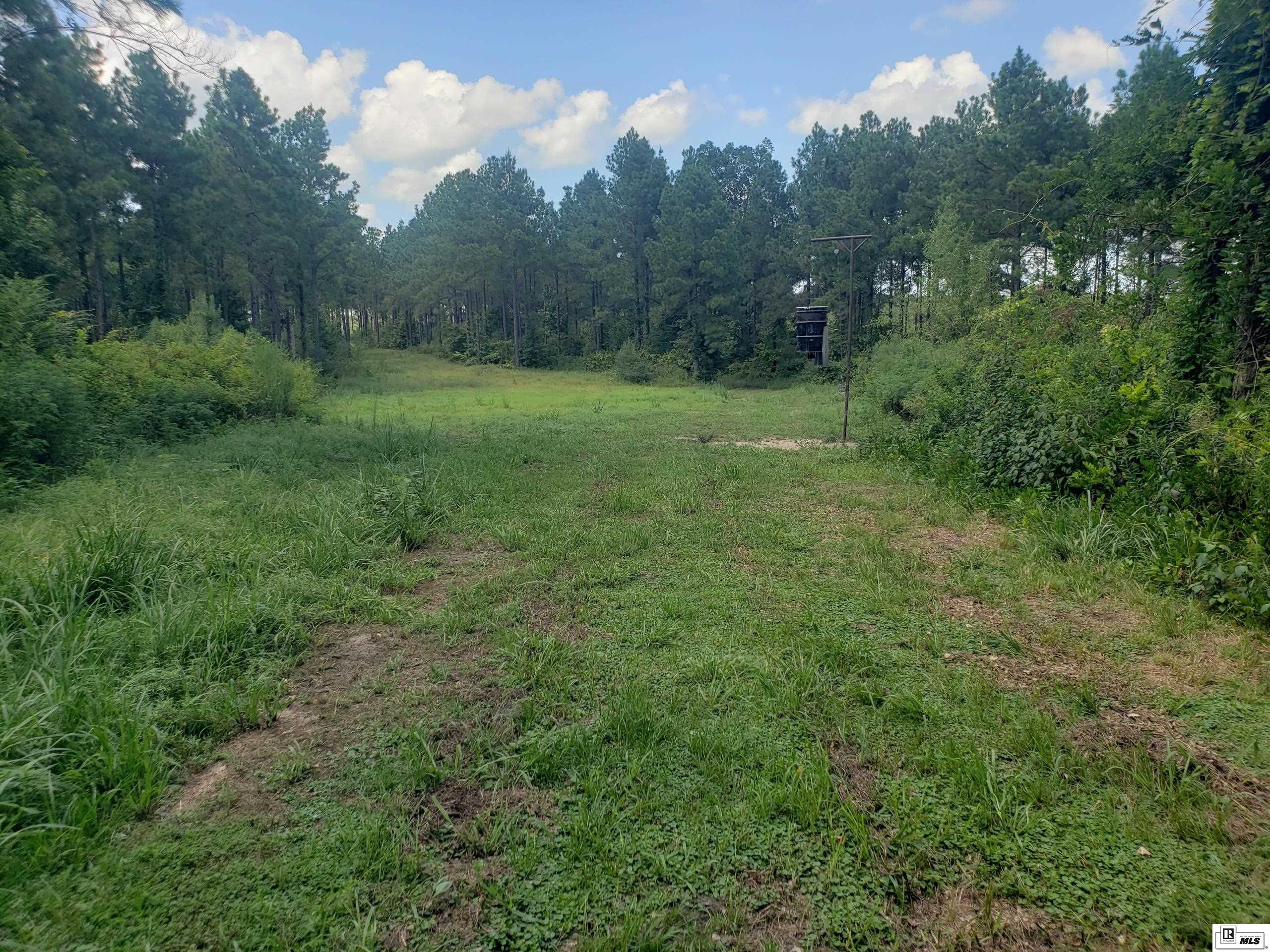 2350 Highway 499