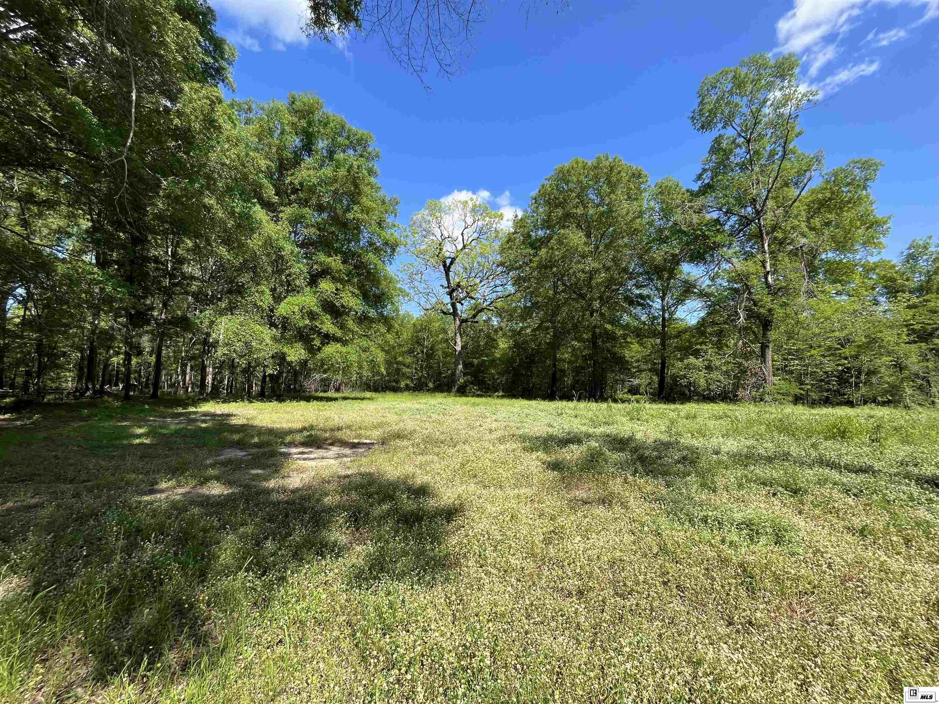 713 Big Ridge Road