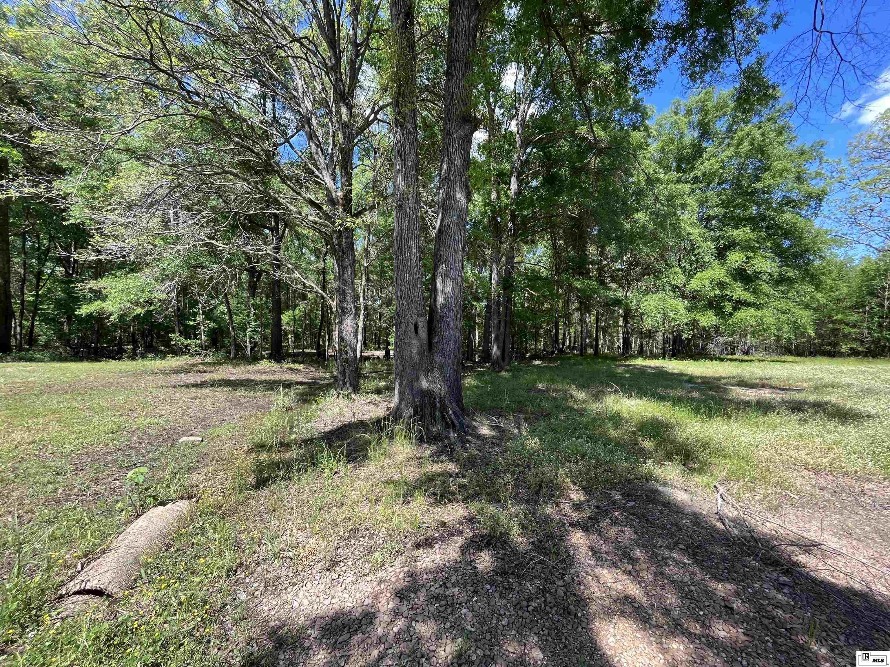 713 Big Ridge Road