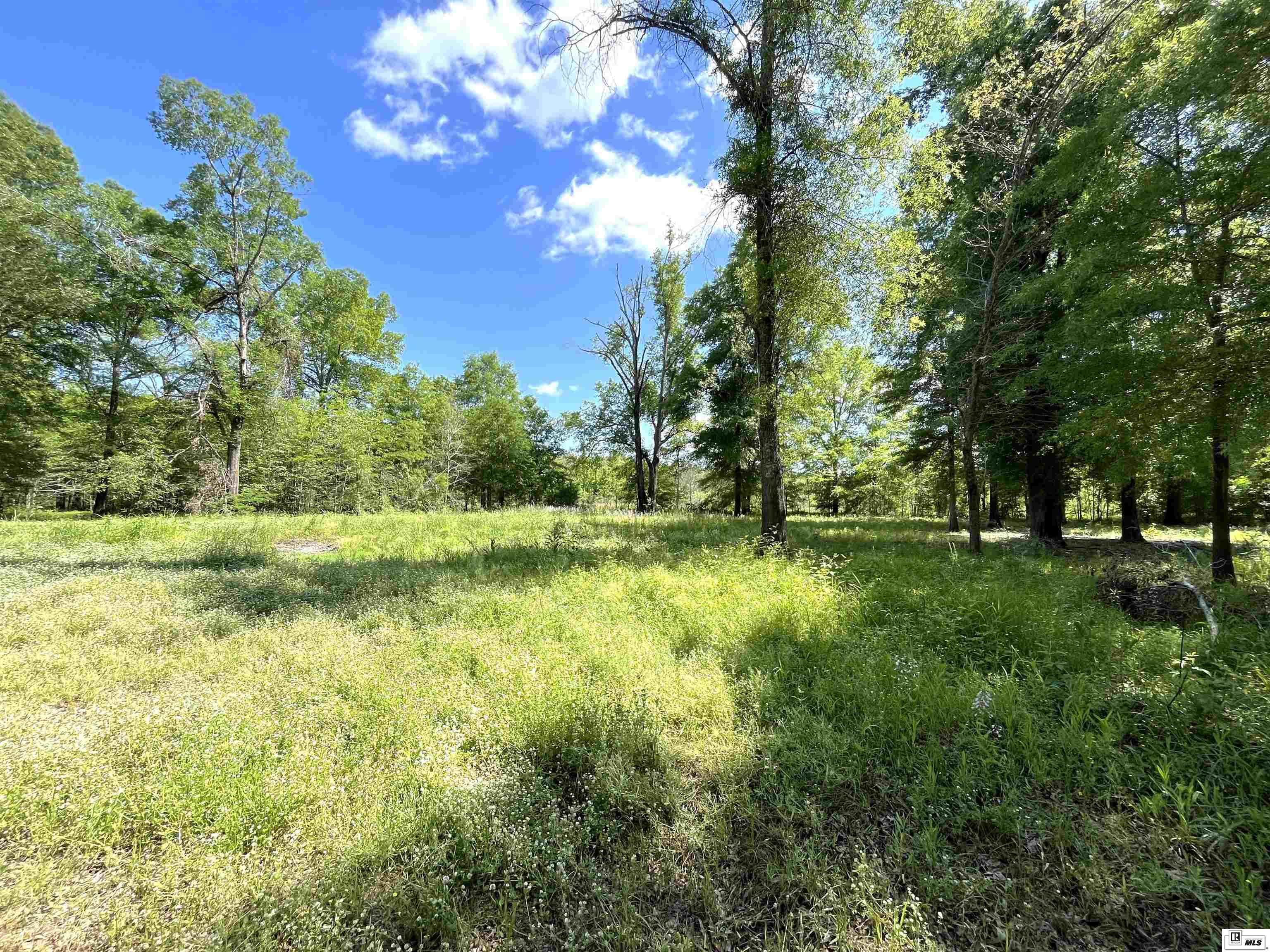 713 Big Ridge Road