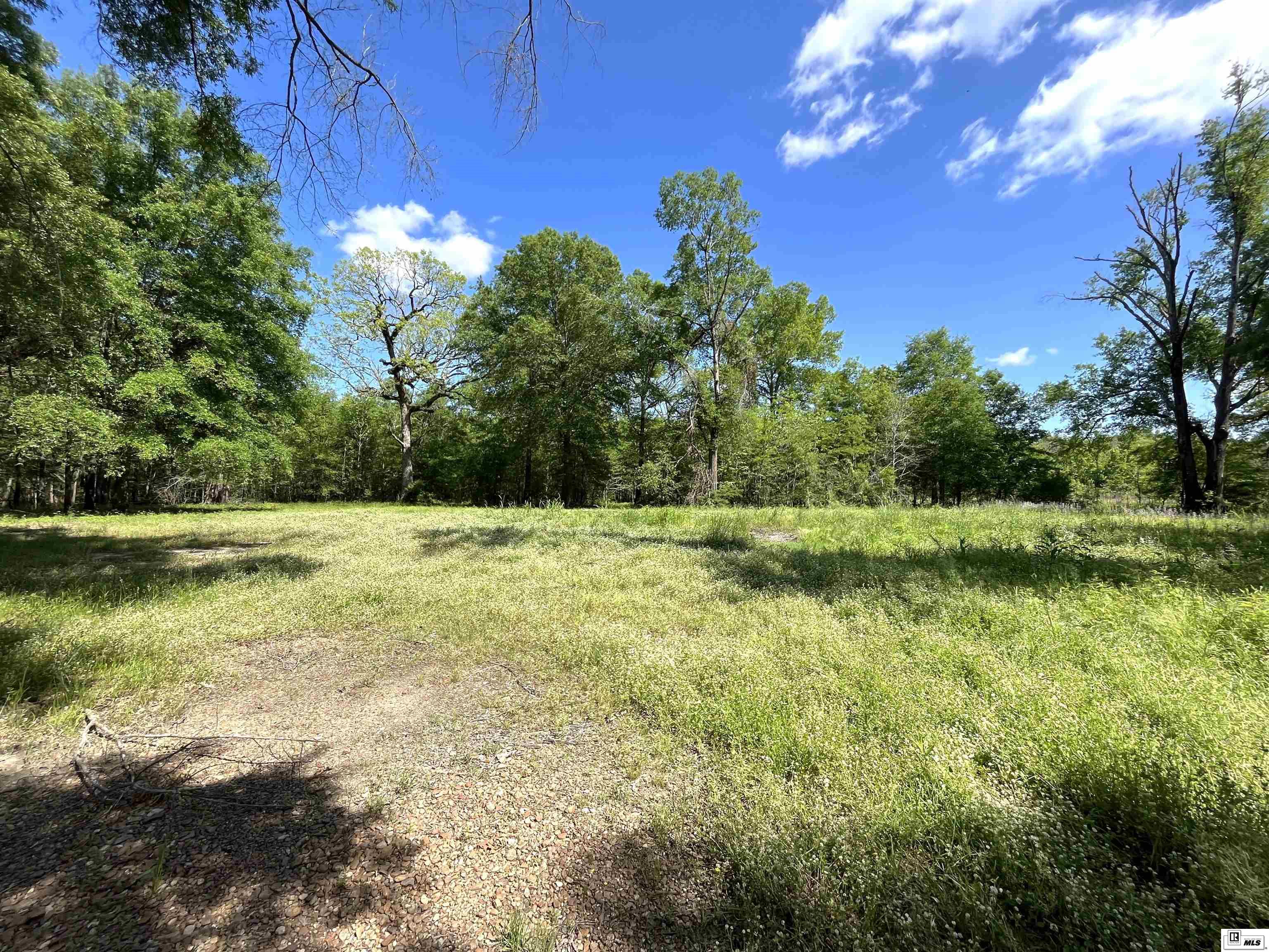 713 Big Ridge Road