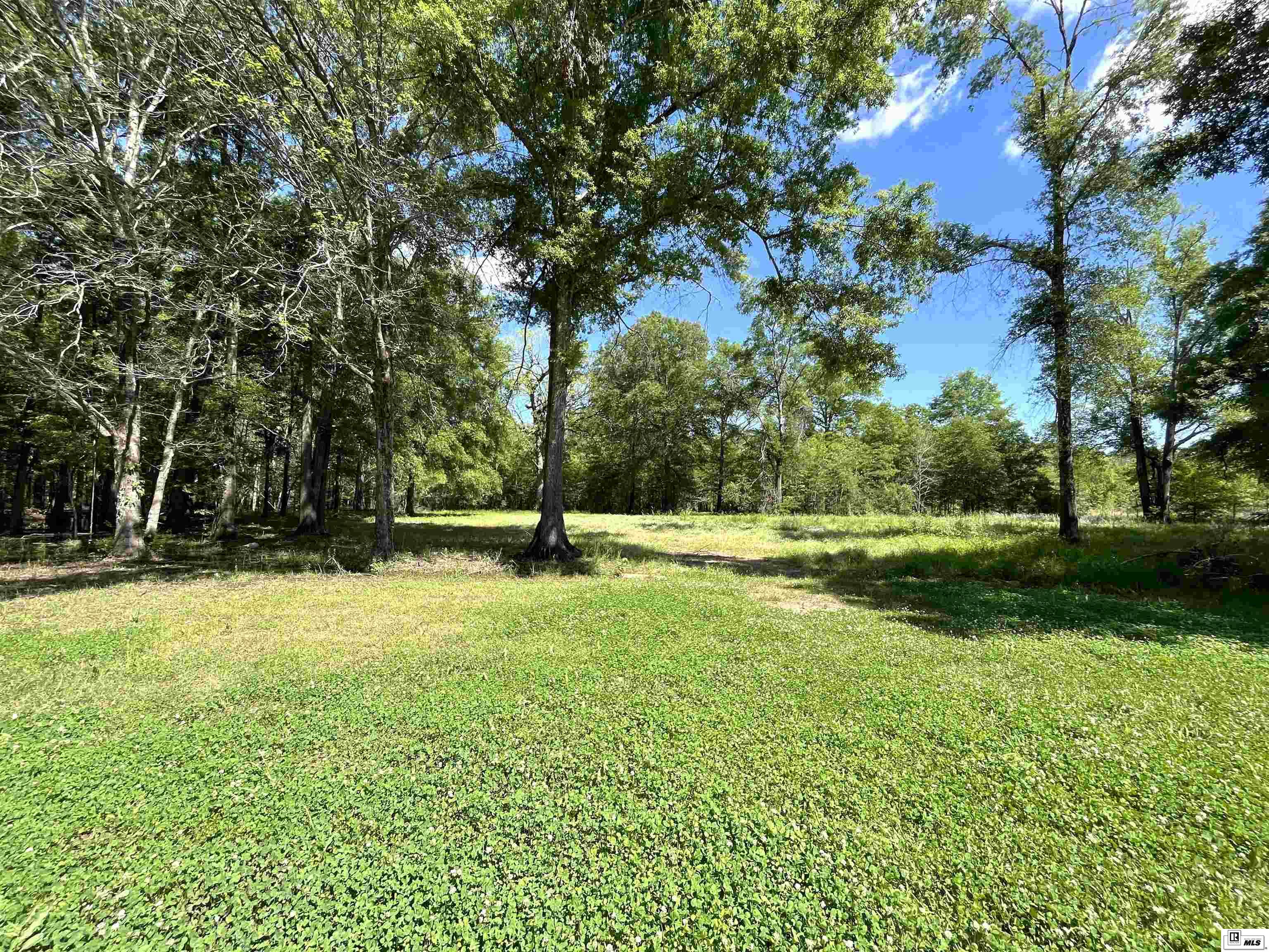 713 Big Ridge Road