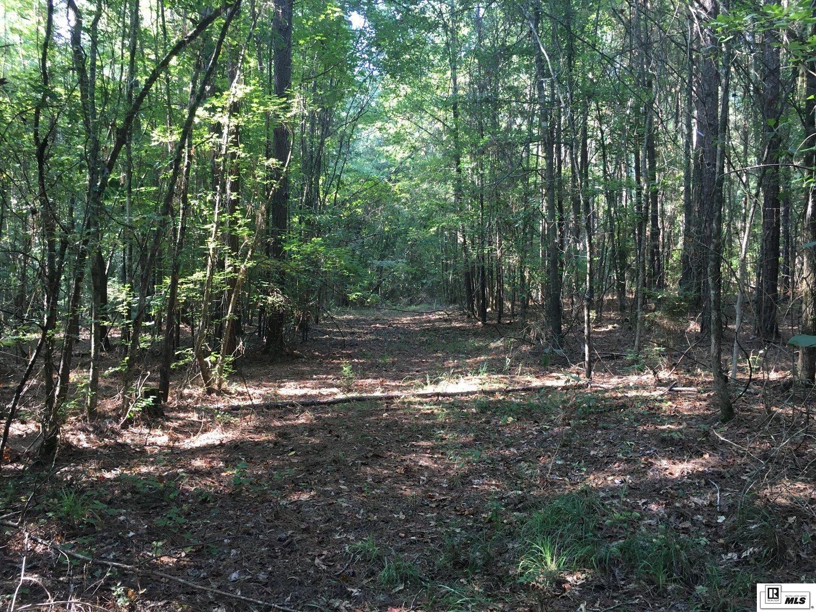 000 Highway 552 4.8 Ac+/- South Of Hwy