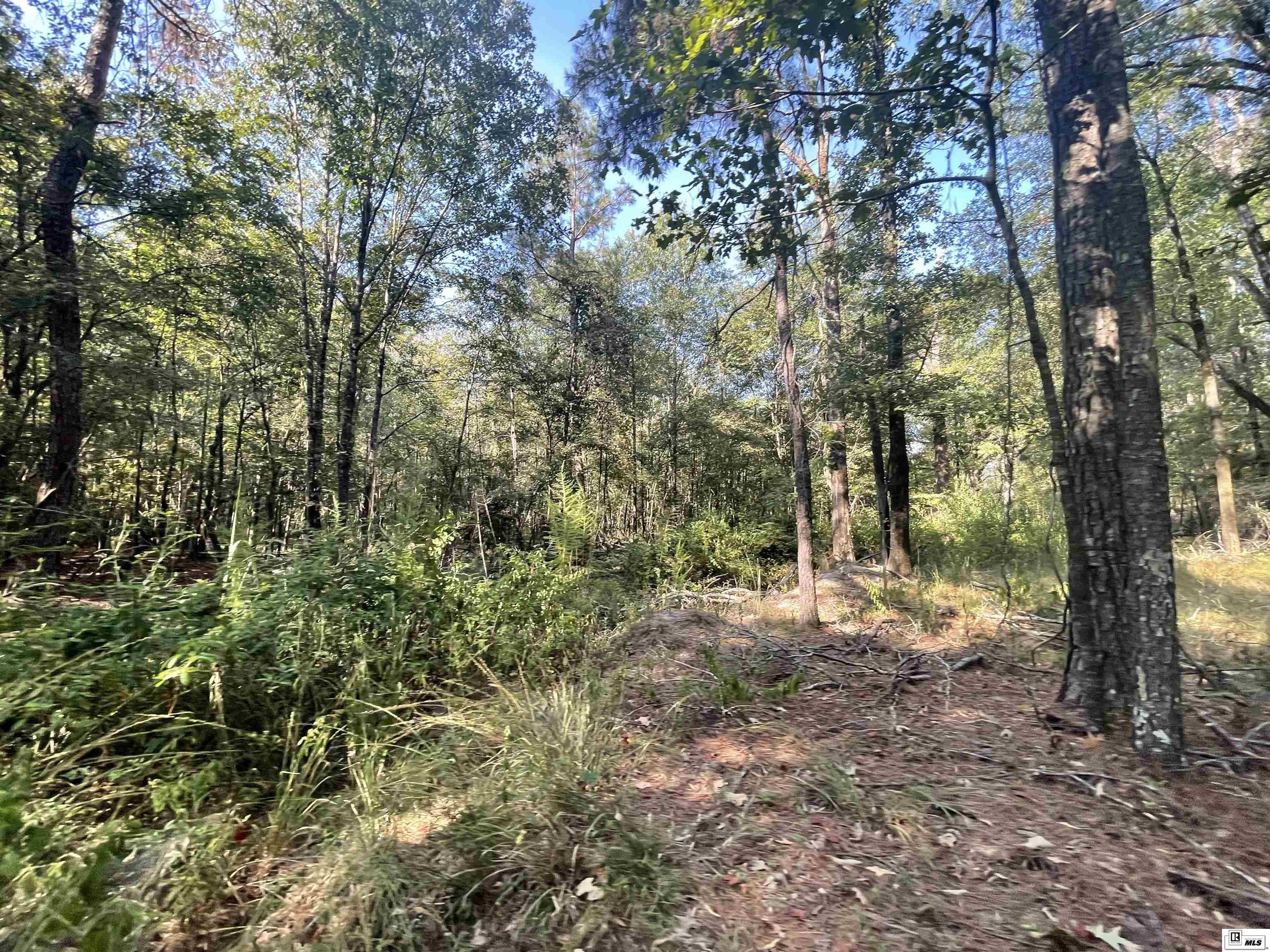 4968 La Highway 139