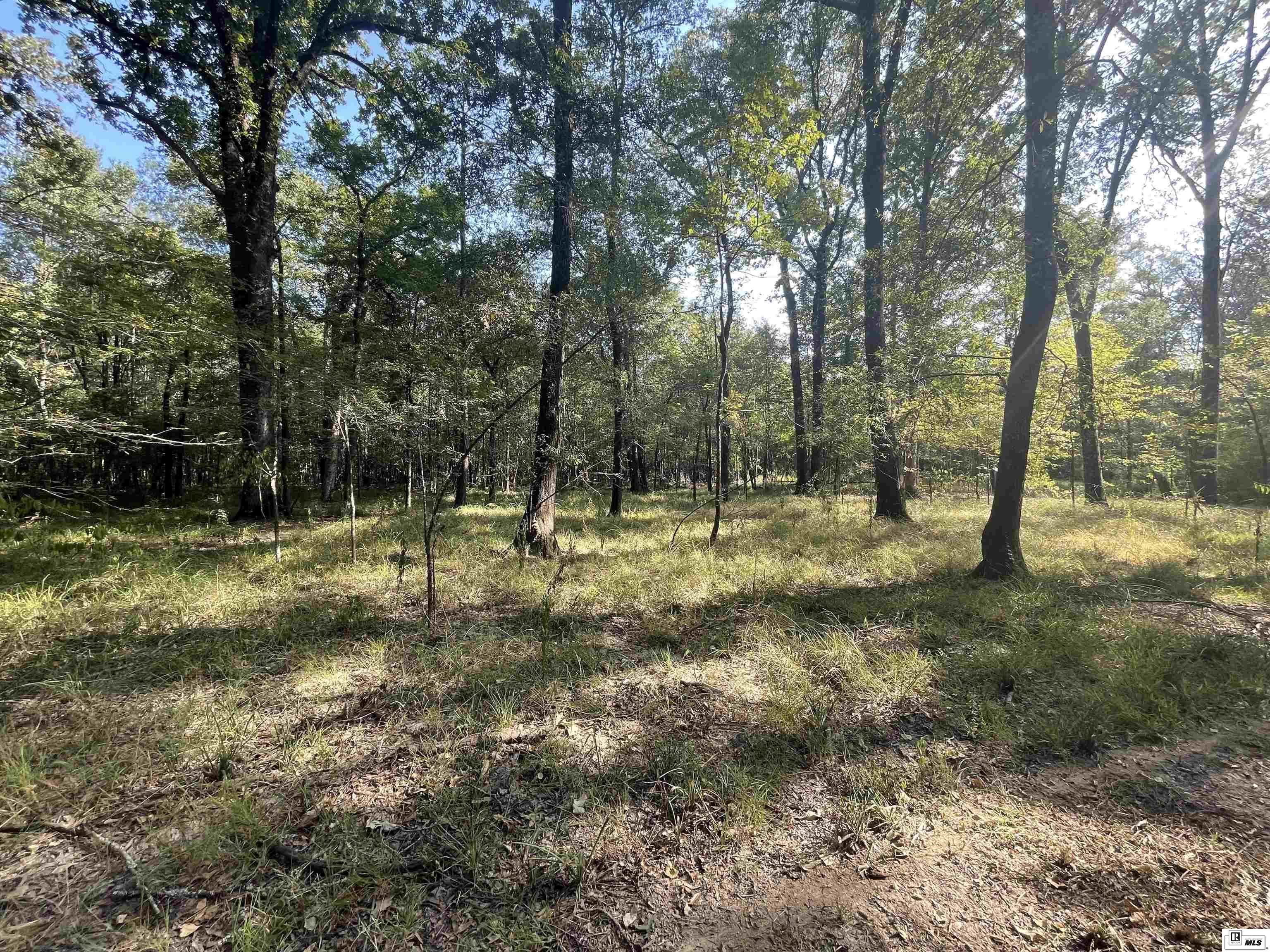 4968 La Highway 139