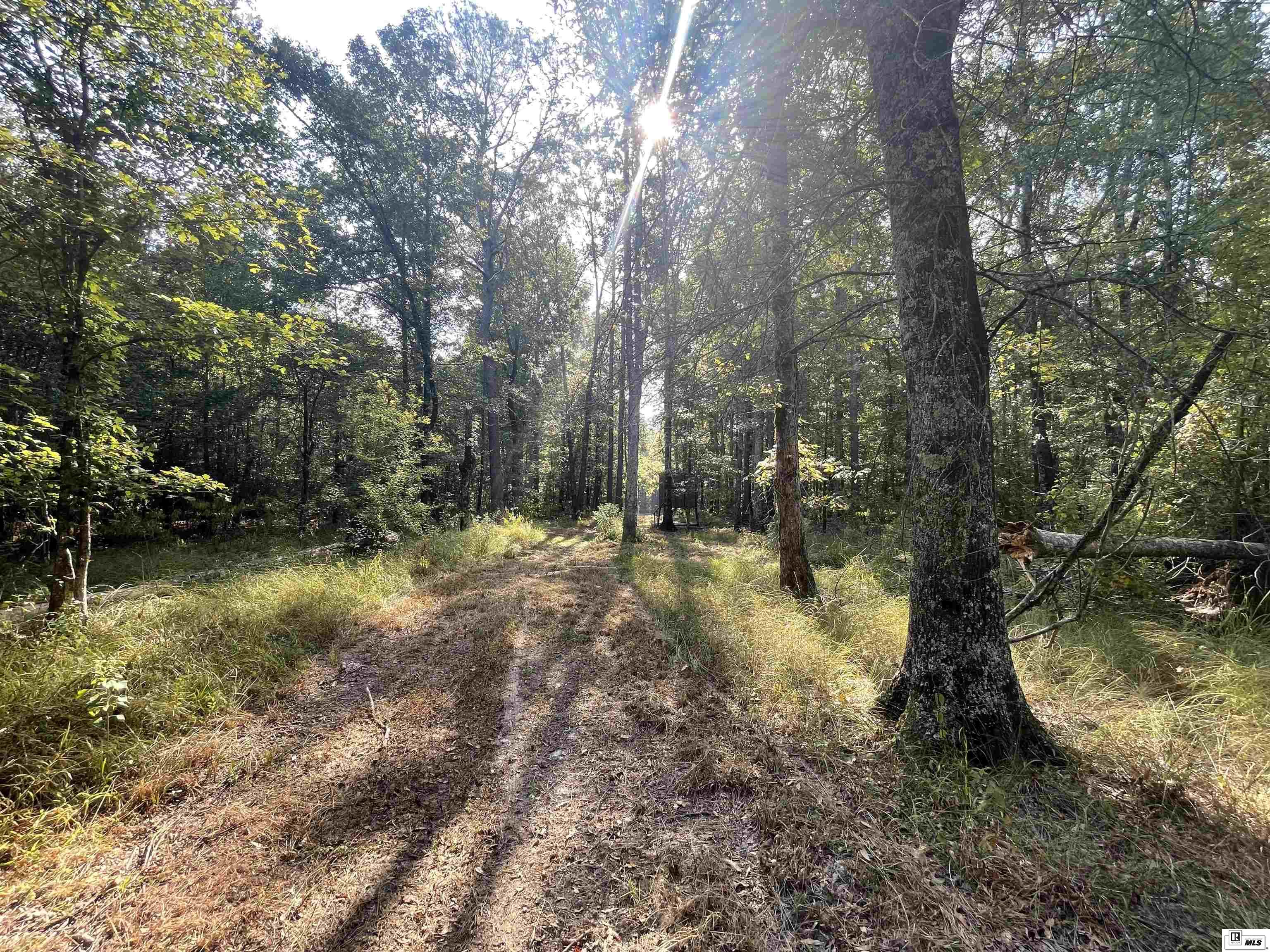 4968 La Highway 139
