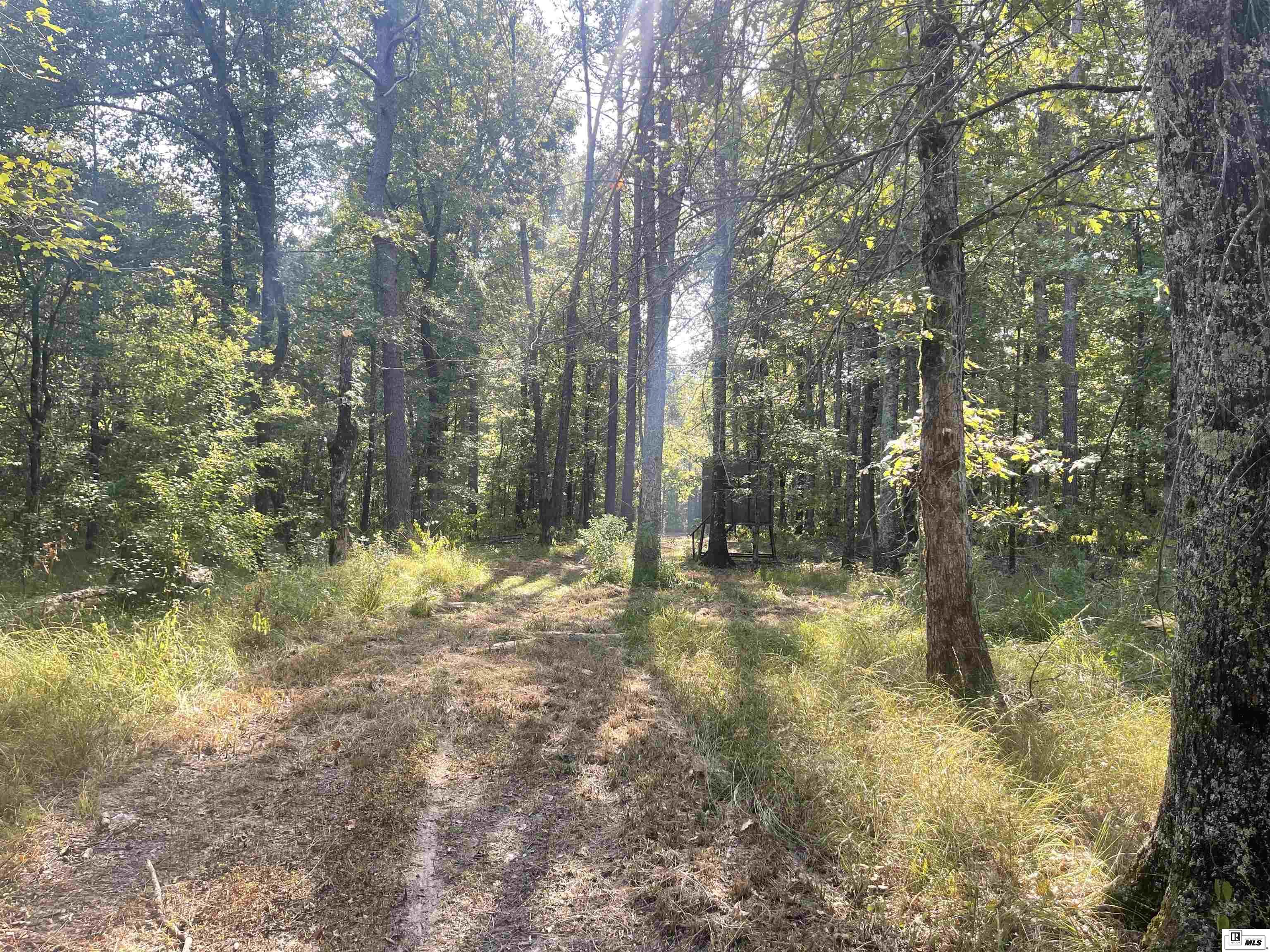 4968 La Highway 139