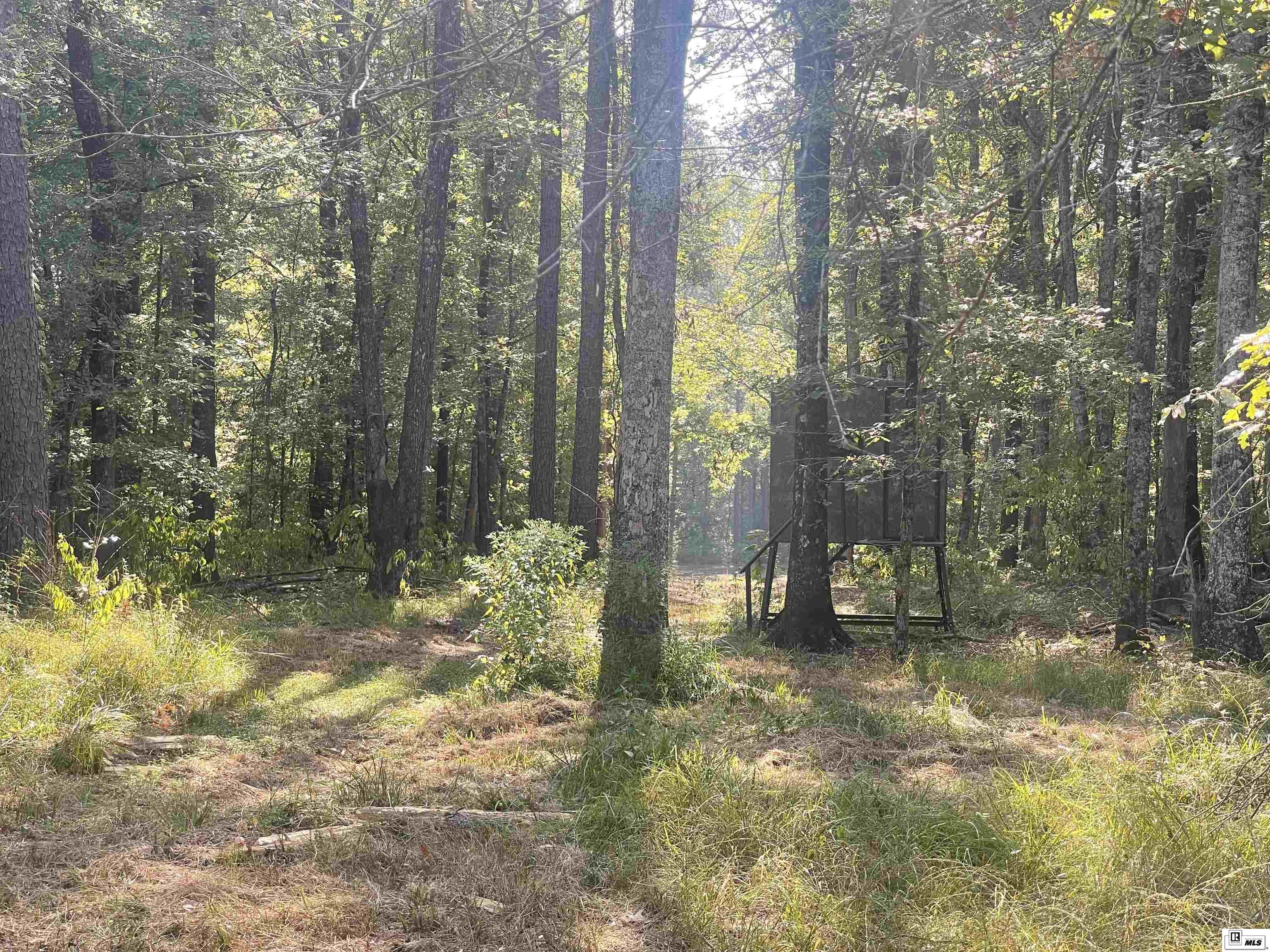 4968 La Highway 139
