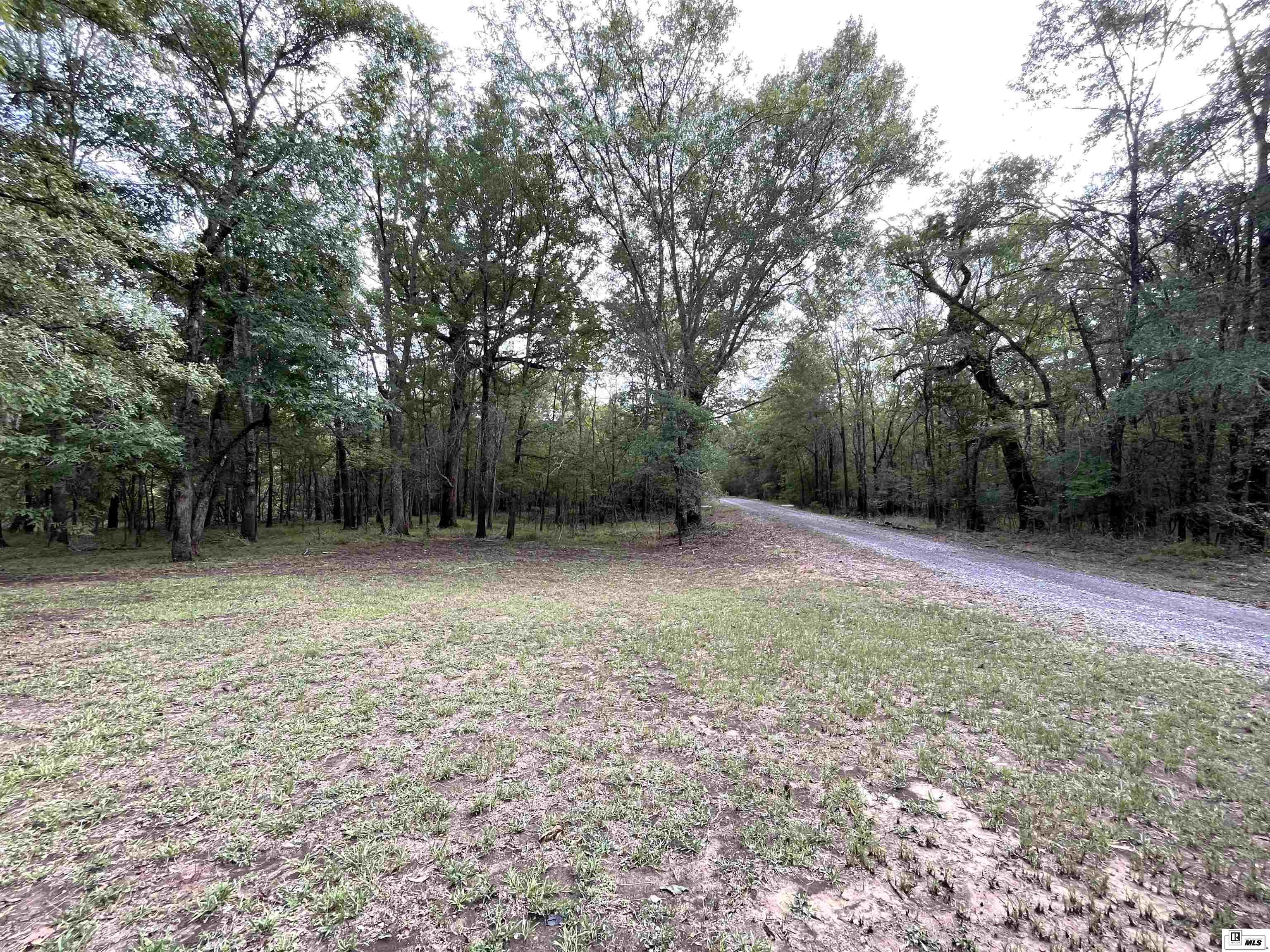 441 Coop Road
