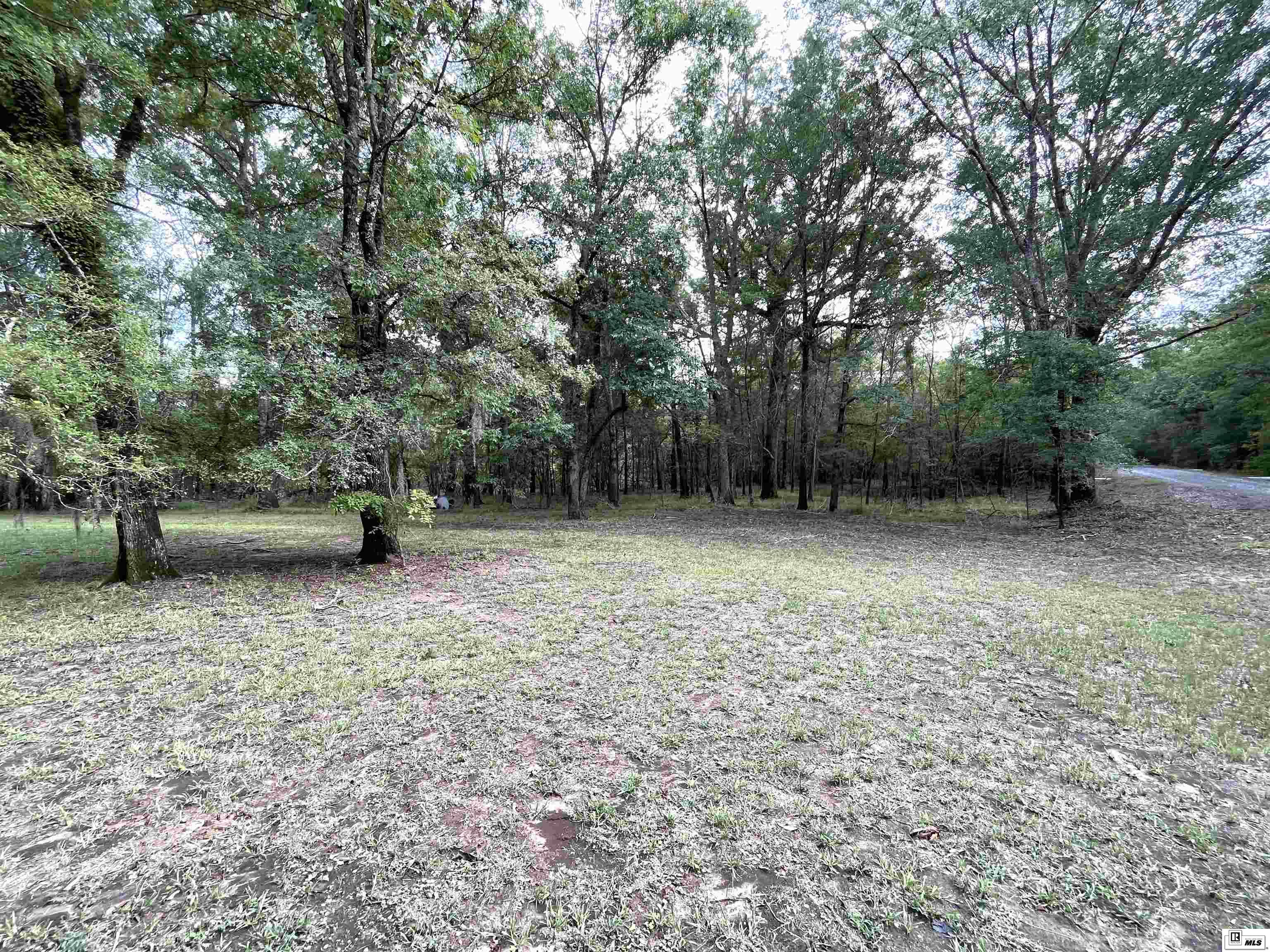 441 Coop Road