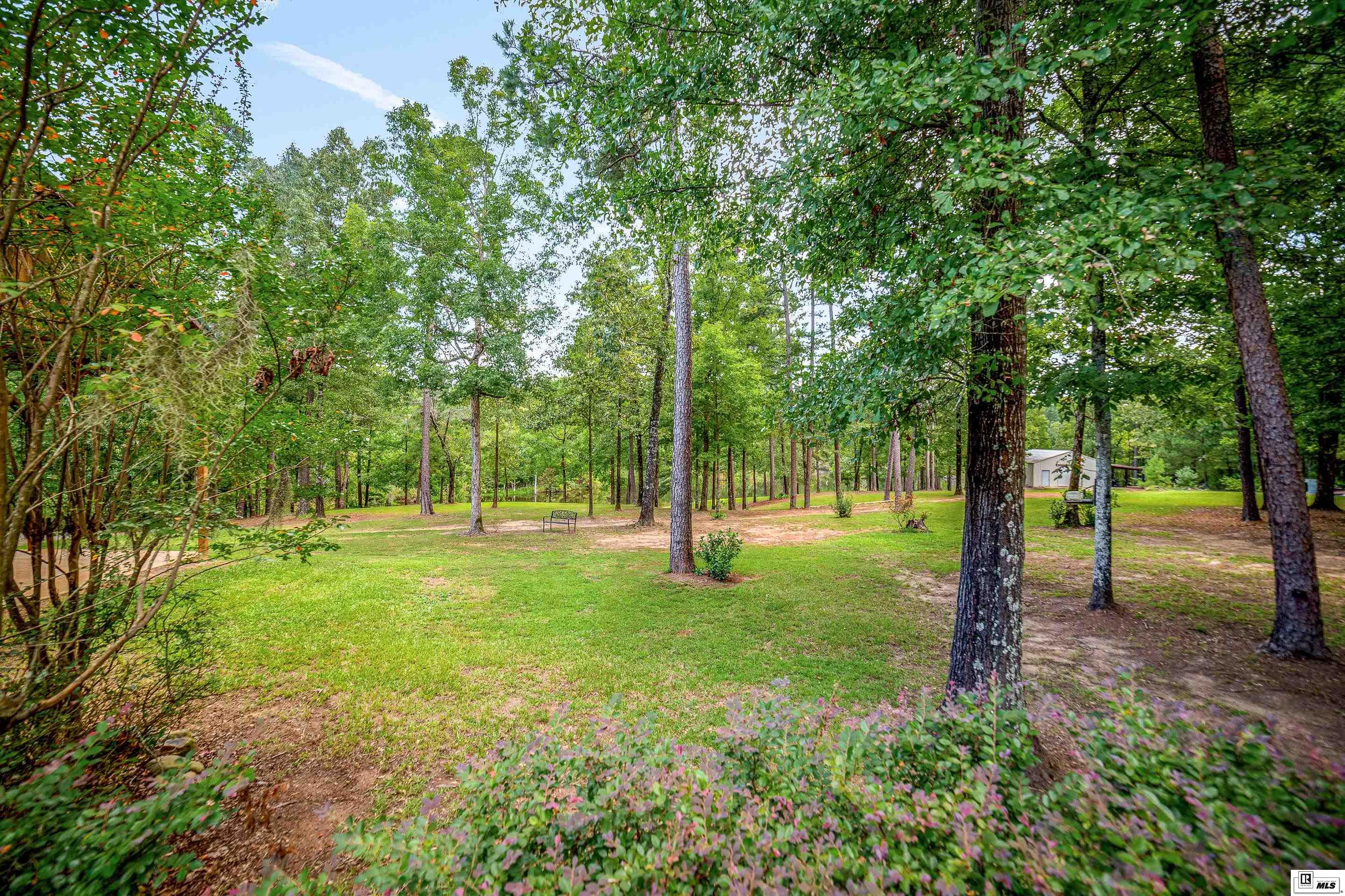 13861 Highway 157
