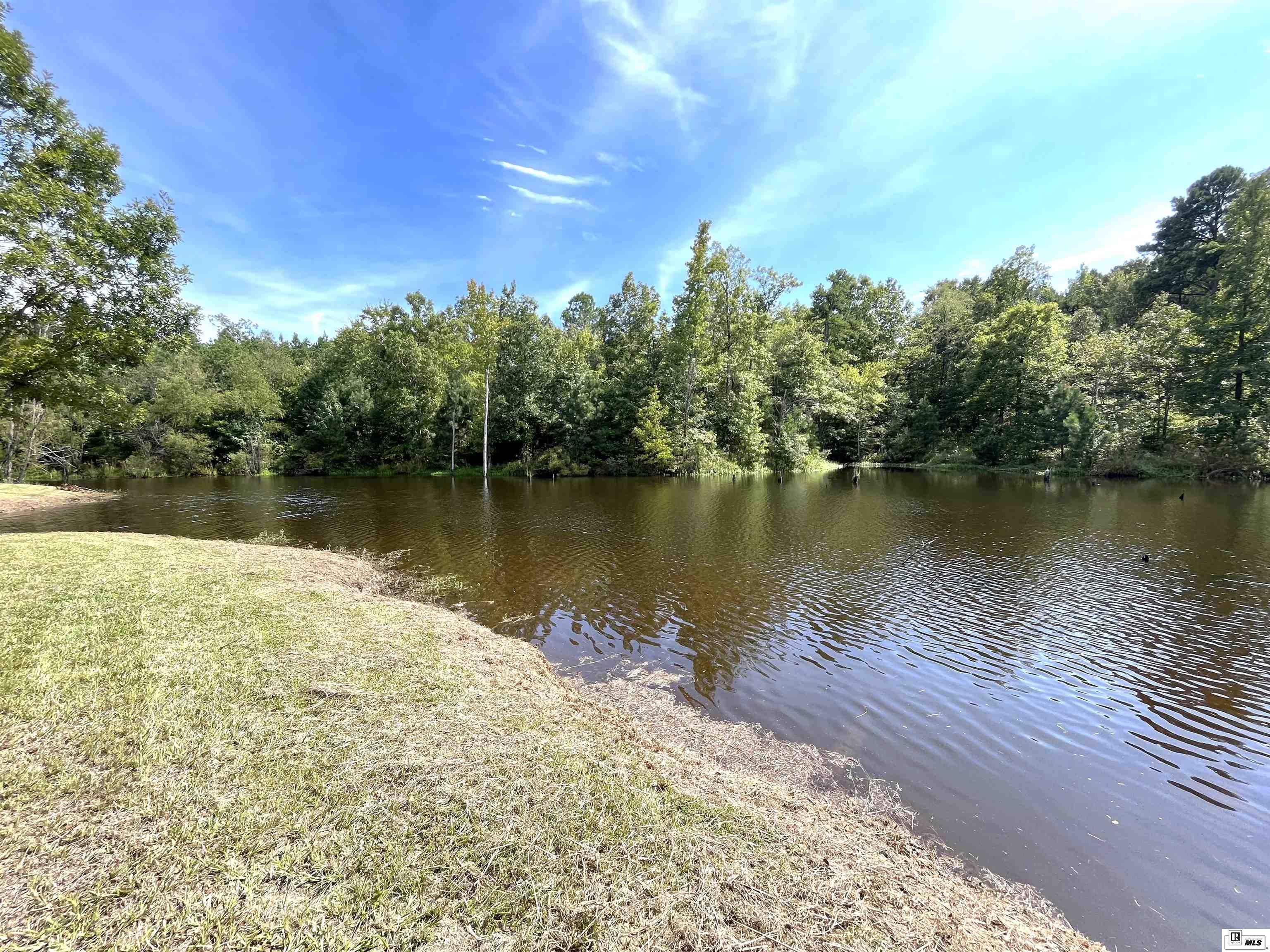 13861 Highway 157