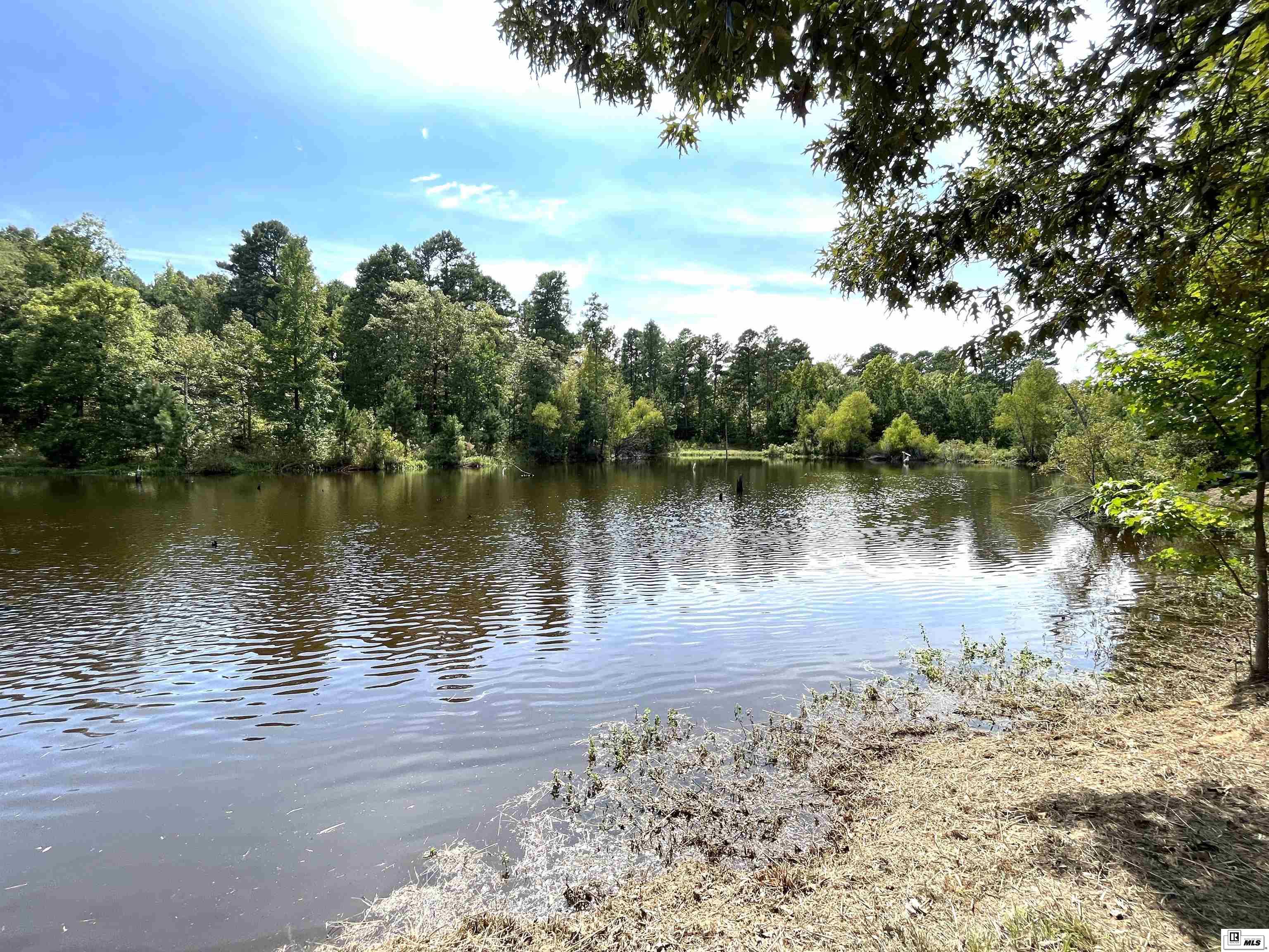 13861 Highway 157