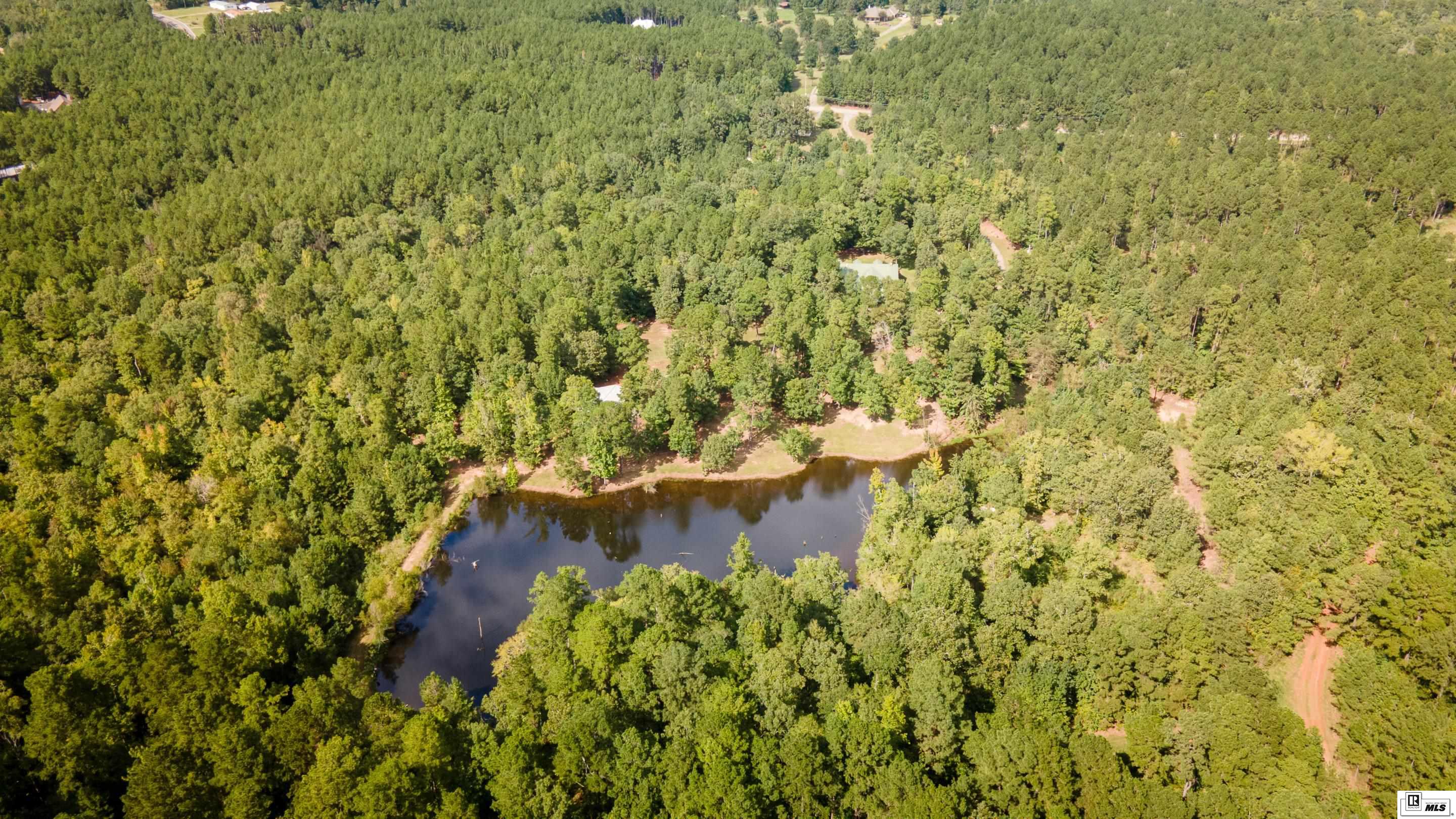 13861 Highway 157