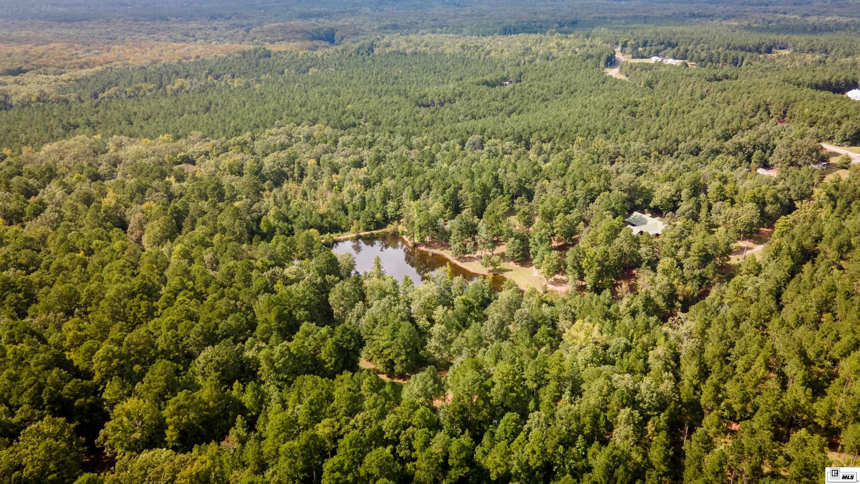 13861 Highway 157