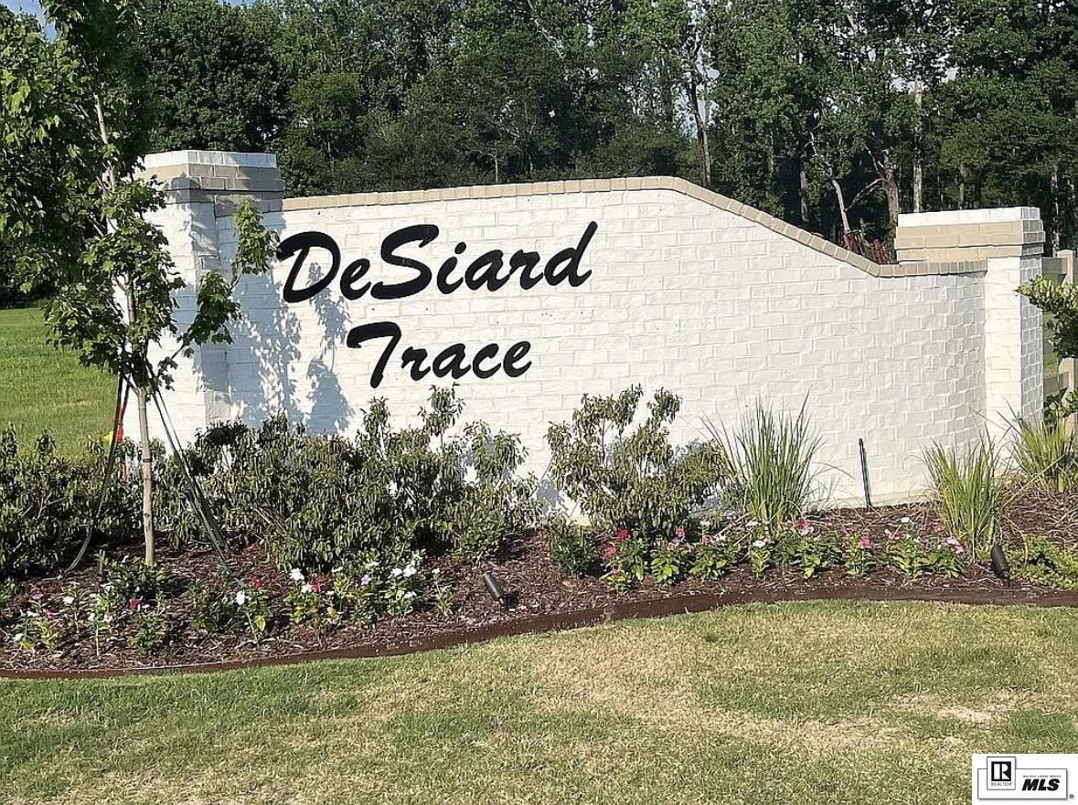9089 Desiard Trace