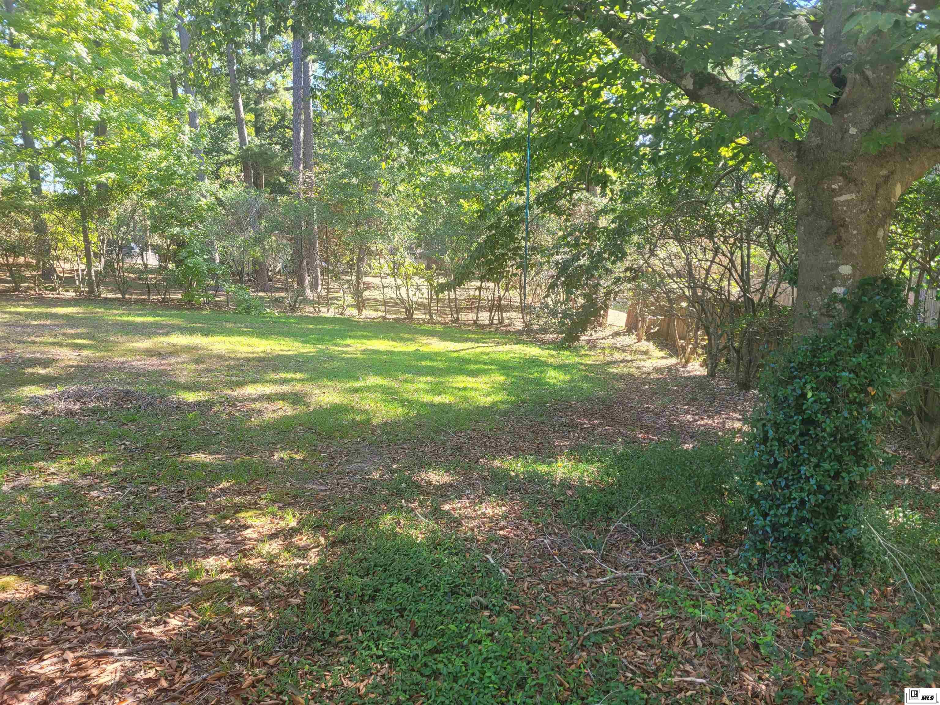 2206 Azalea Drive