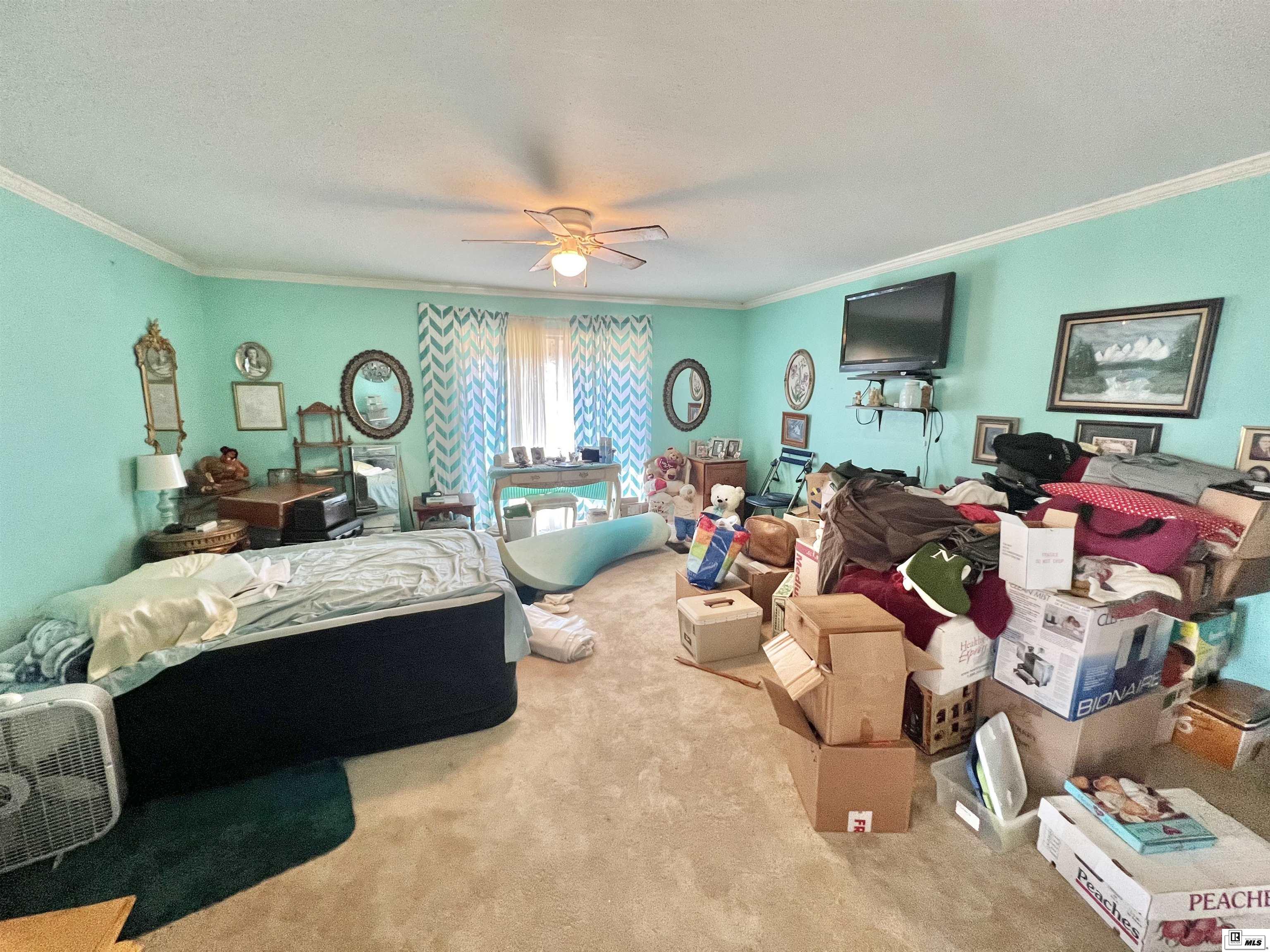 1218 Thomas Loop
