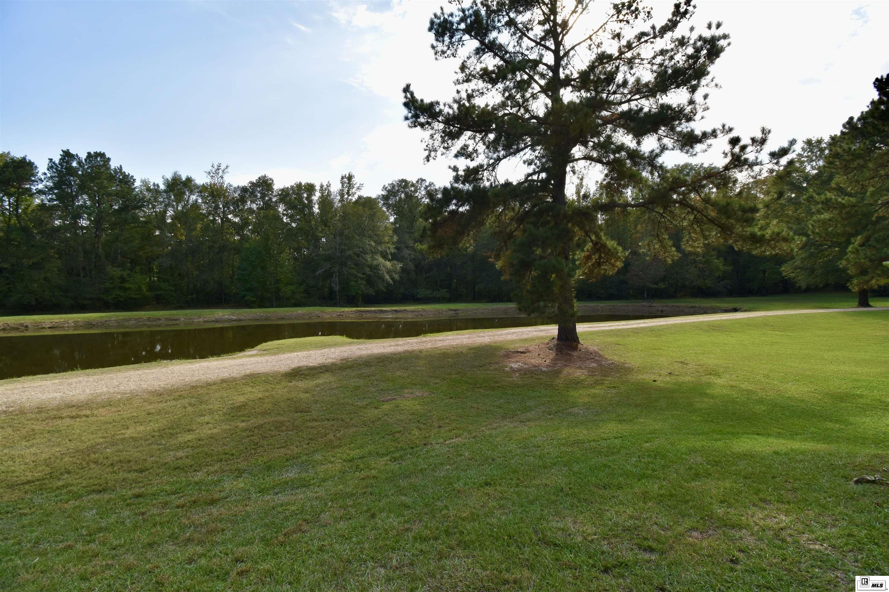 156 Highway 556