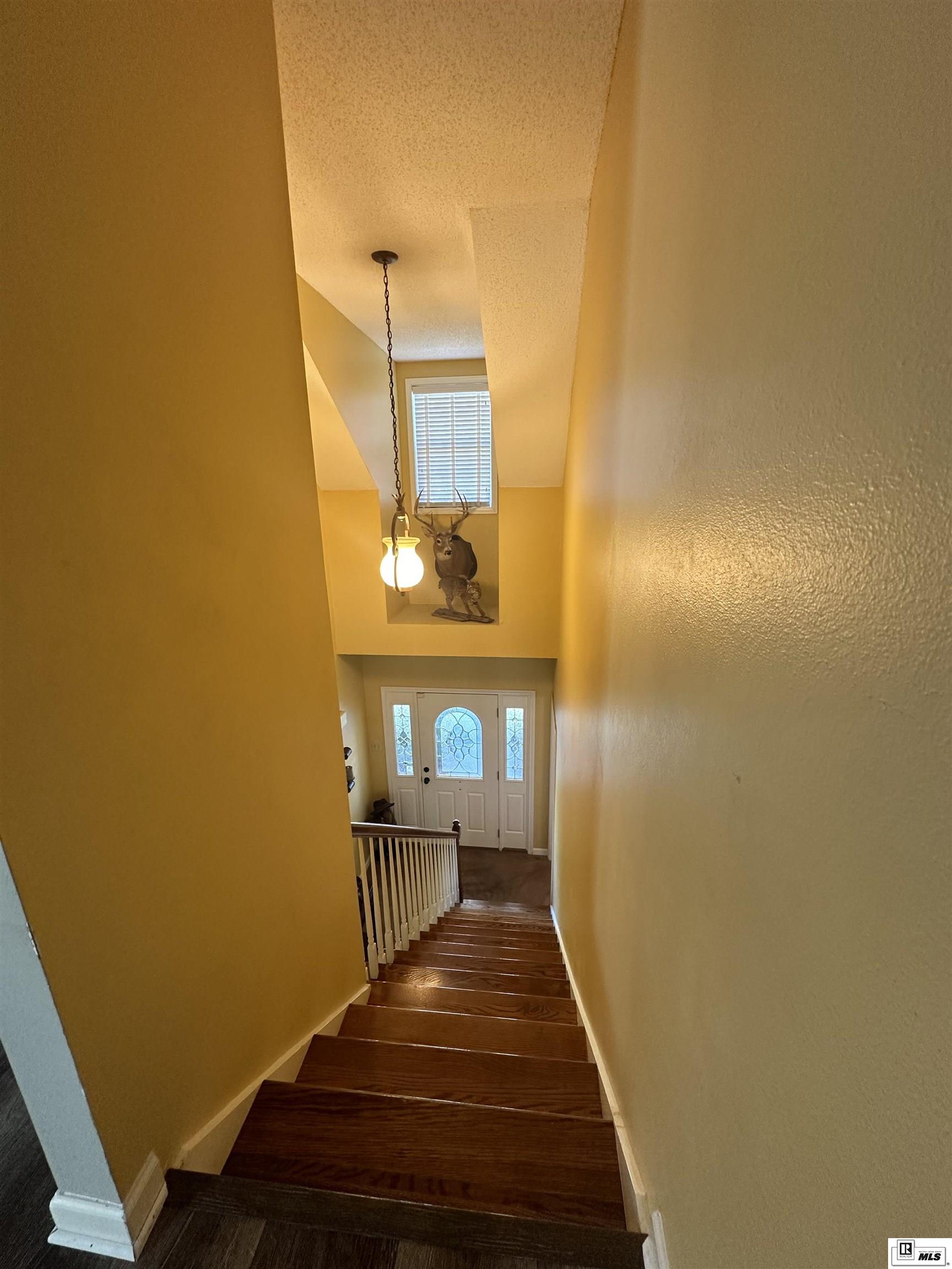 271 Joe White Road
