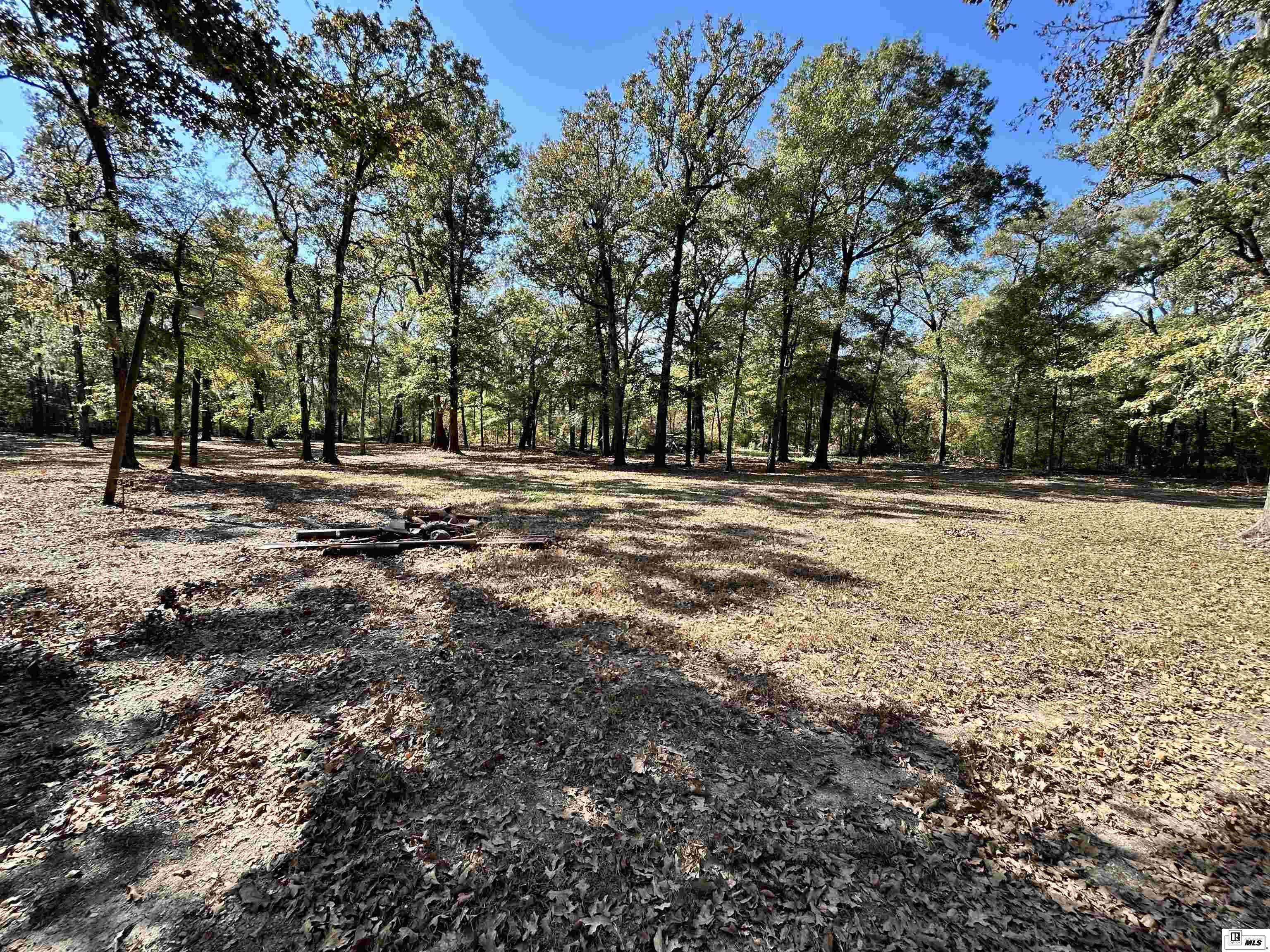 Photo of 654 SCHOOL BOARD ROAD Lot 40, Marion, LA 71260