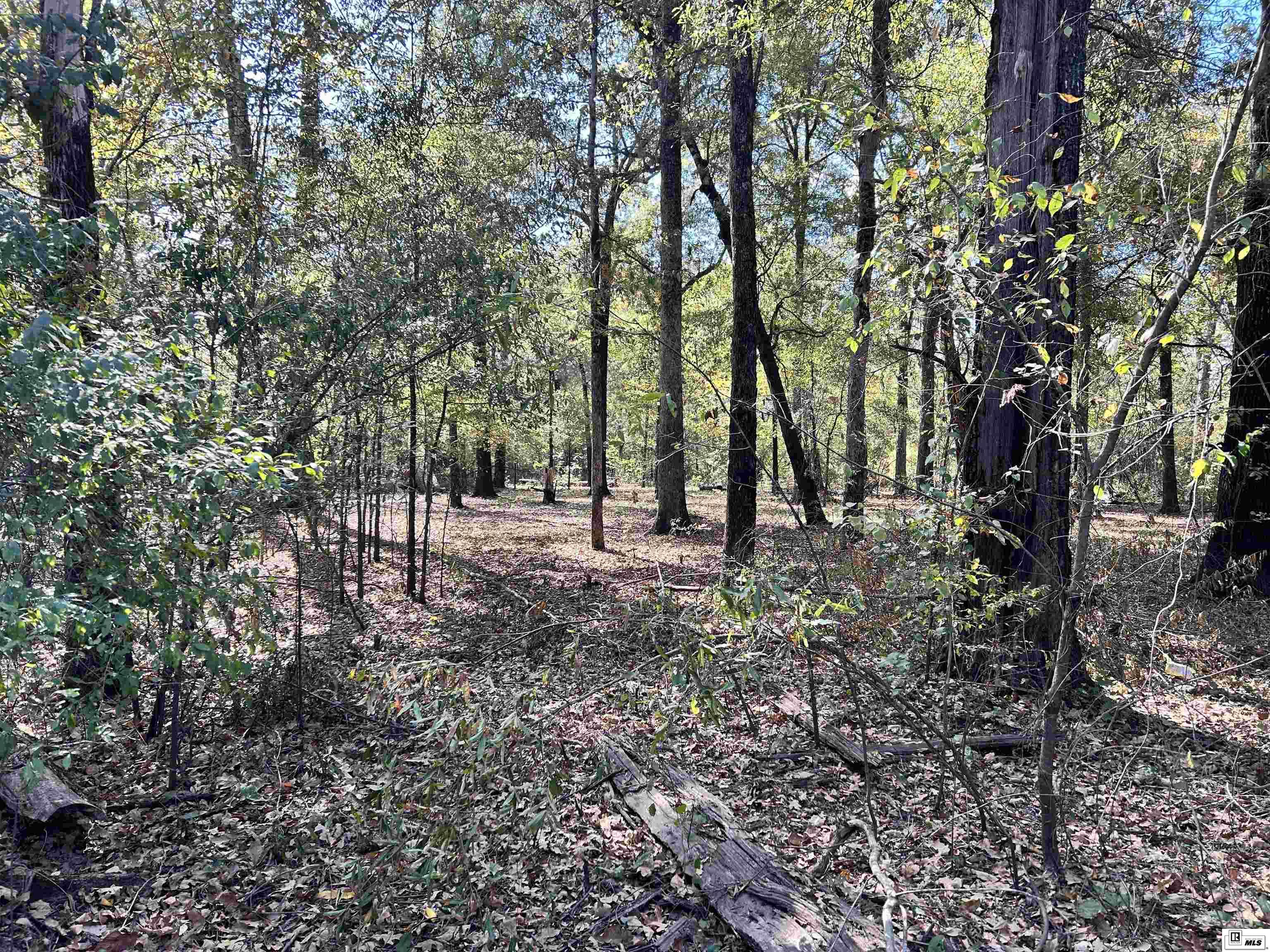 Photo of SCHOOL BOARD ROAD Lot 52, Marion, LA 71260