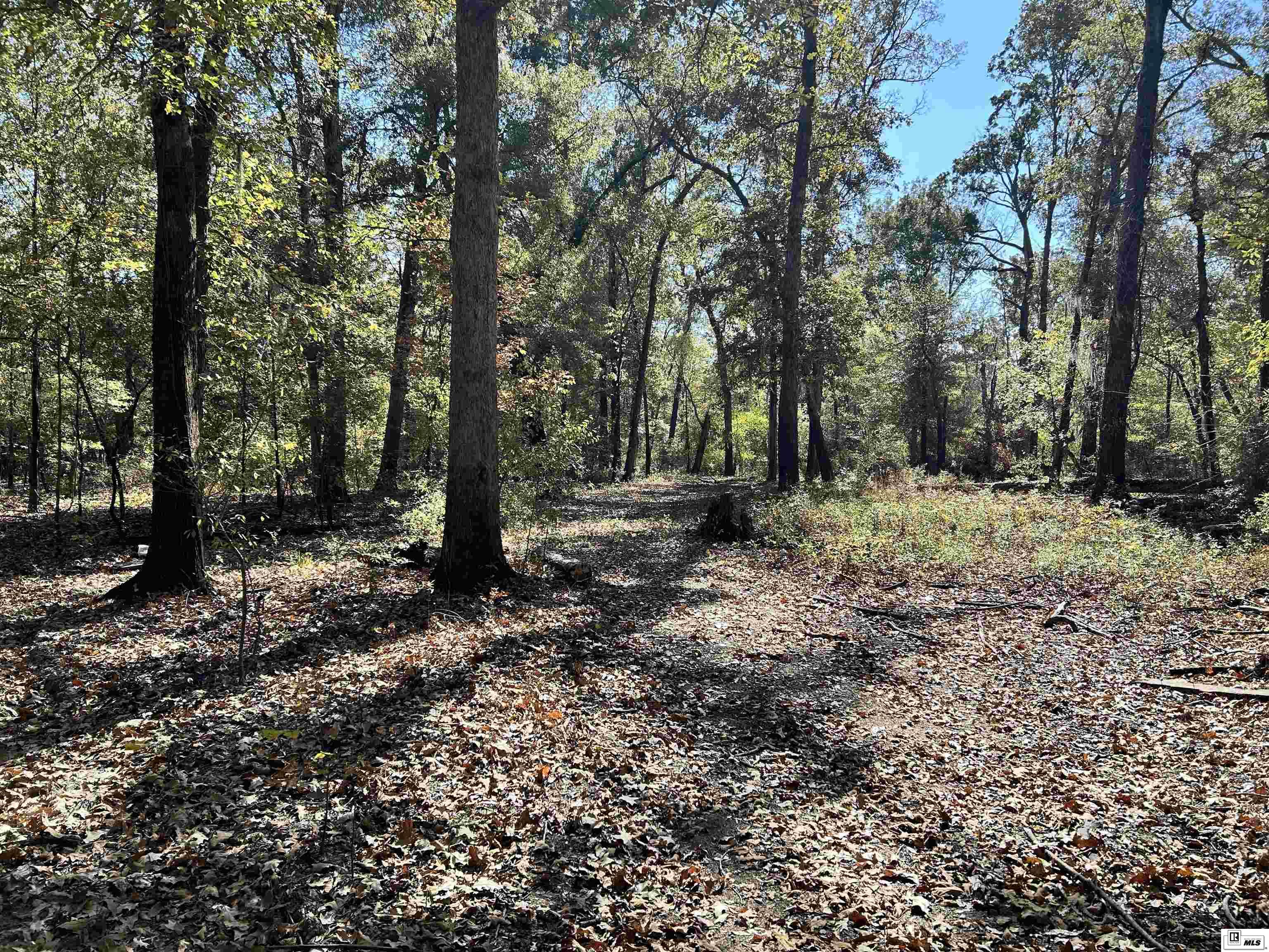 Photo of SCHOOL BOARD ROAD Lot 54, Marion, LA 71260