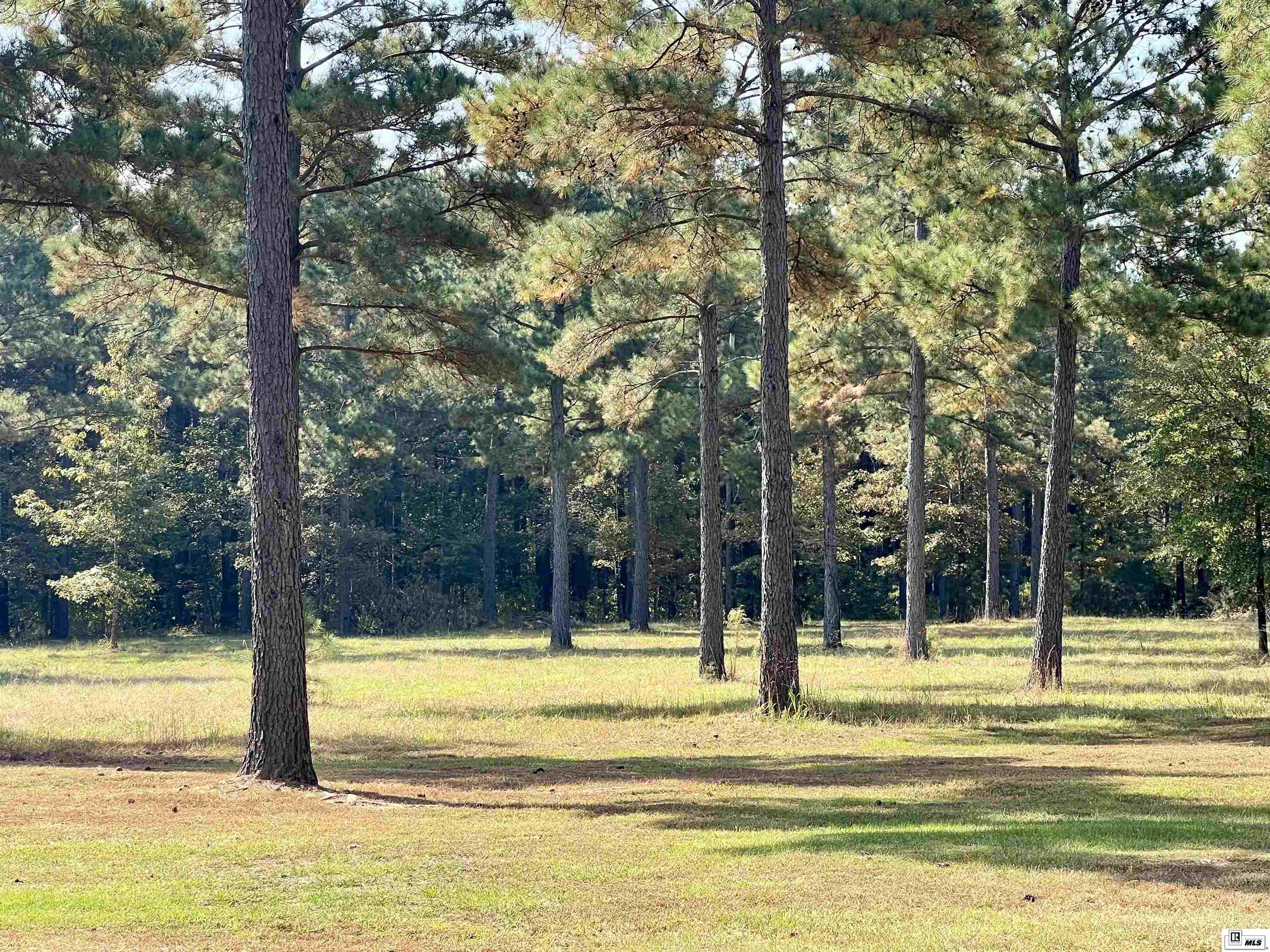 2503 Sugar Creek Road